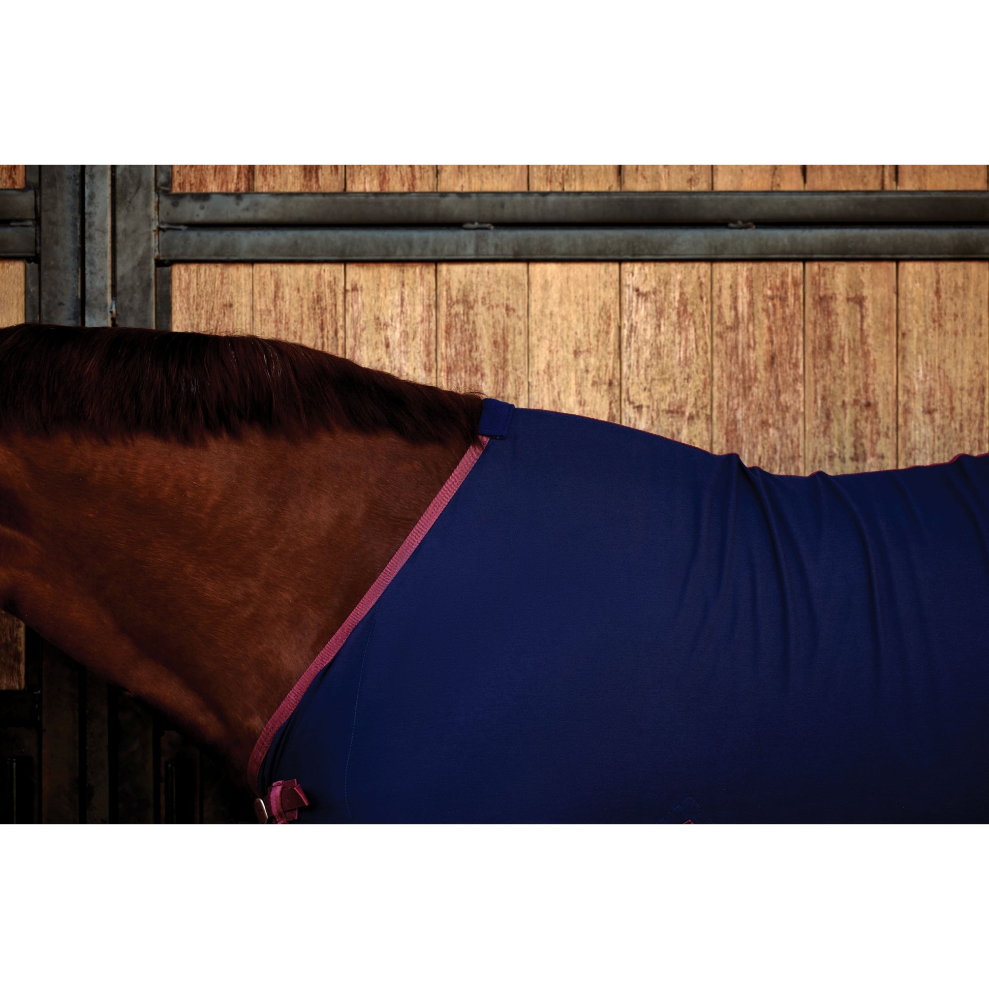 Weatherbeeta Cotton Sheet Standard Neck