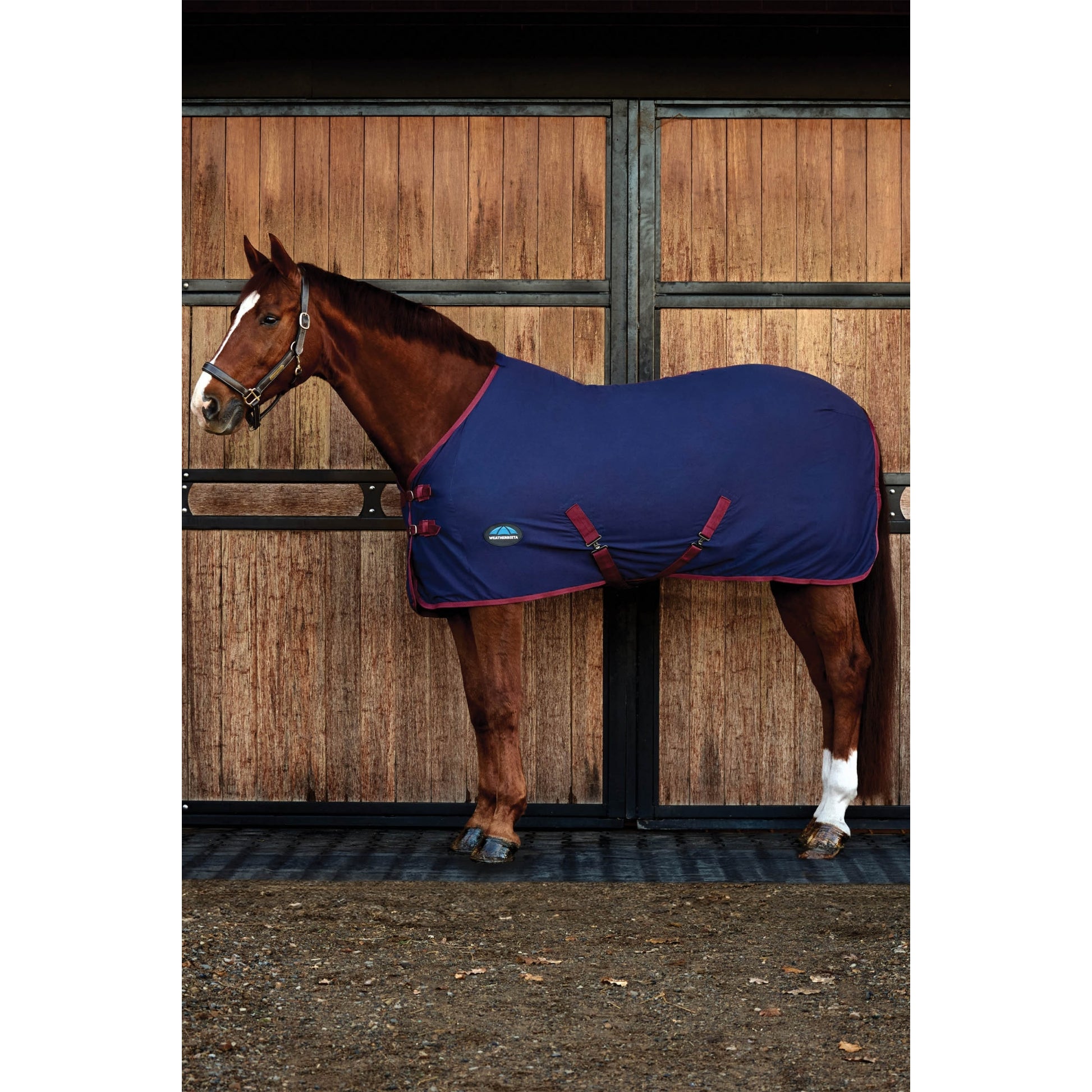 Weatherbeeta Cotton Sheet Standard Neck