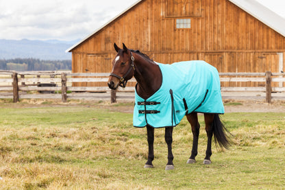 Weatherbeeta ComFiTec Original Turnout Standard Neck 0g