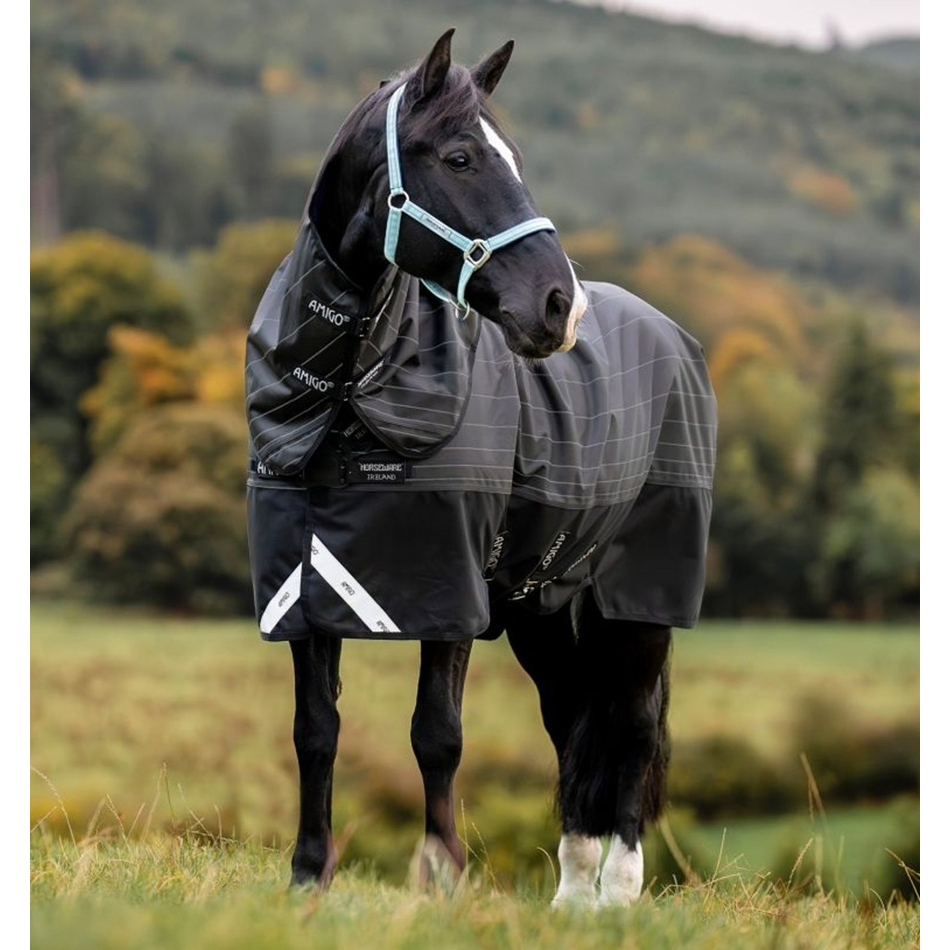 Amigo 1200D FieldSafe Reflect Plus TO 50g