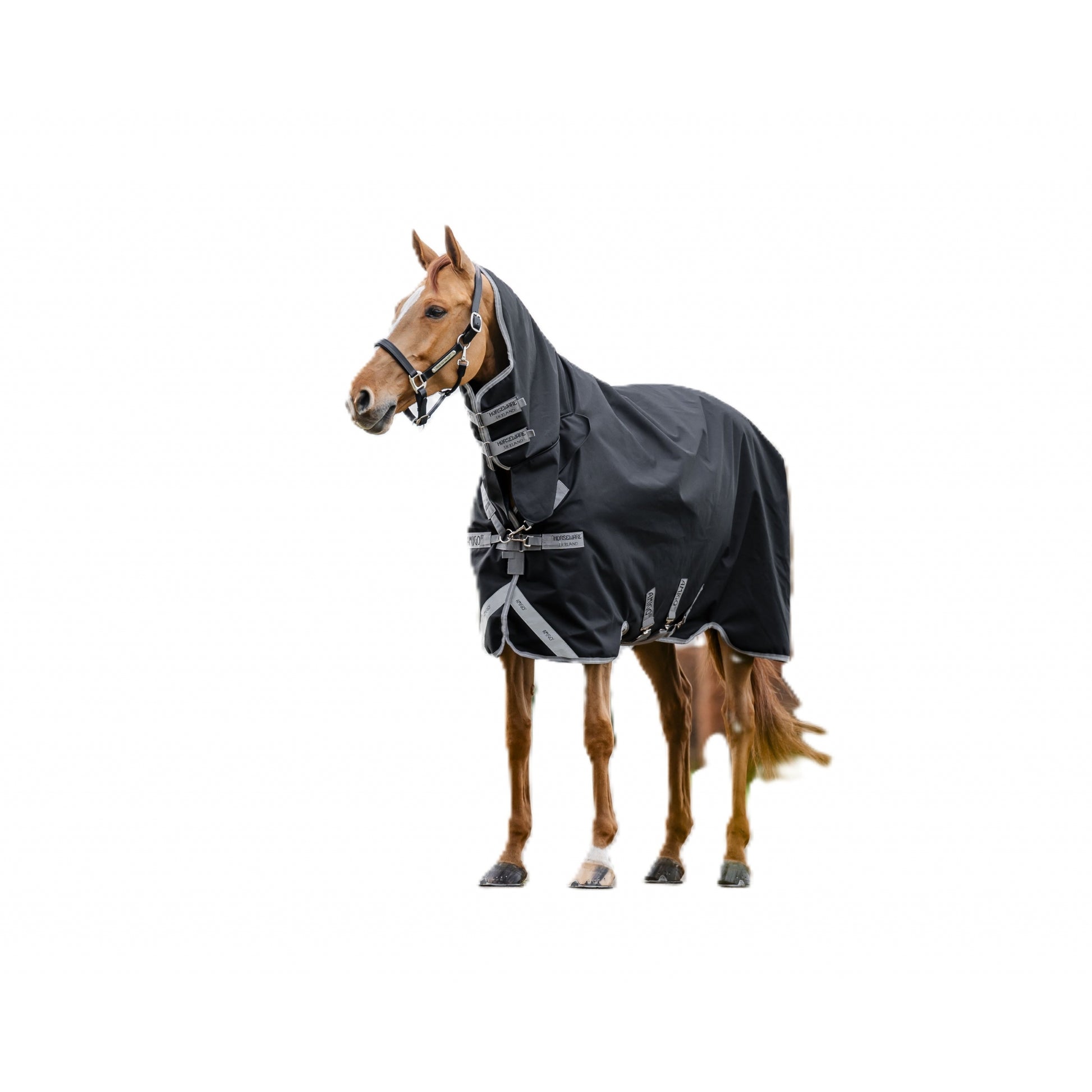 Amigo 1200D Integrated Turnout 50g