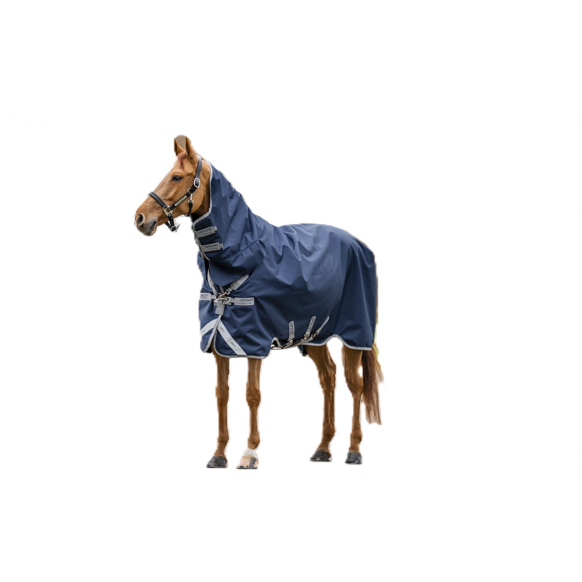 Amigo 1200D Integrated Turnout 150g