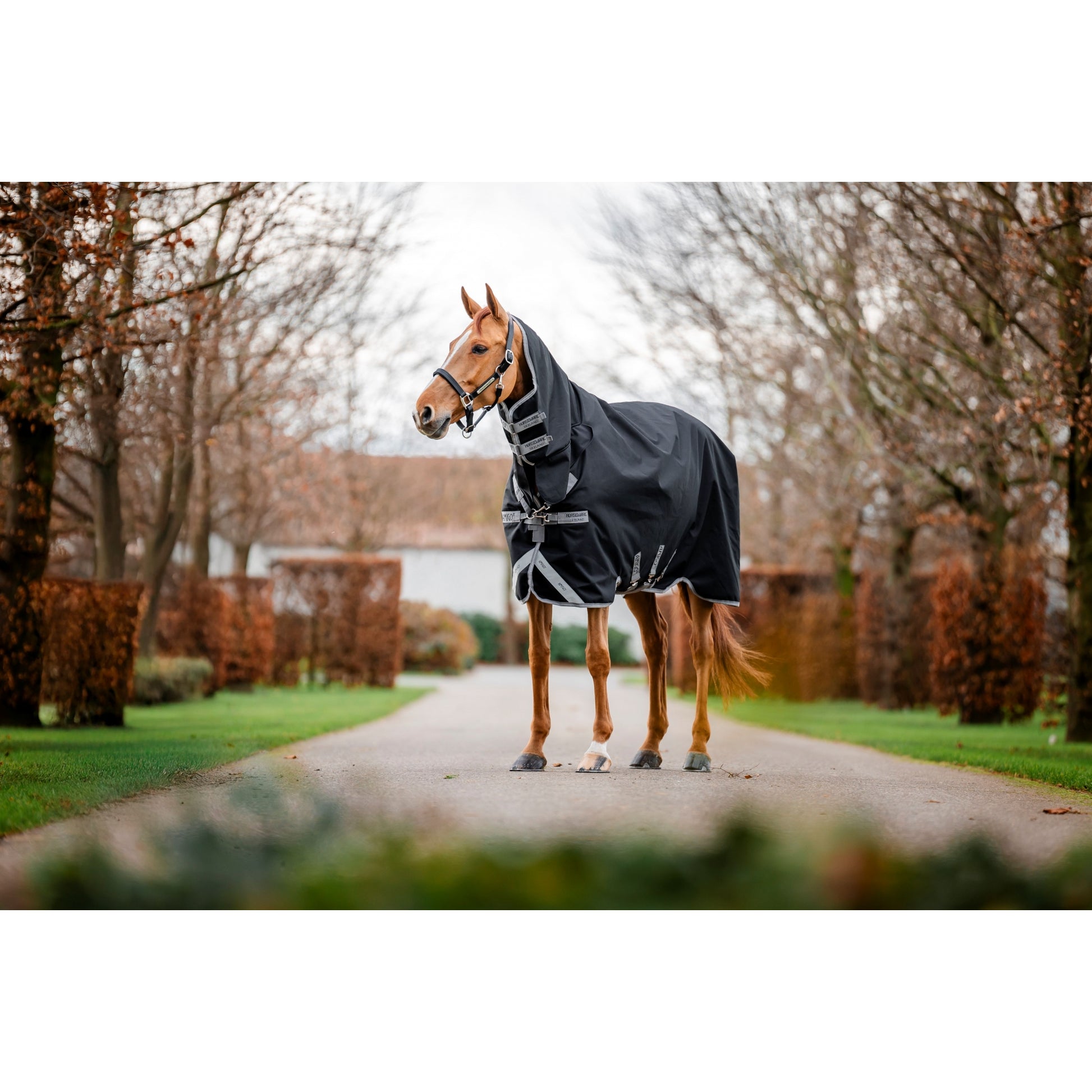 Amigo 1200D Integrated Turnout 250g