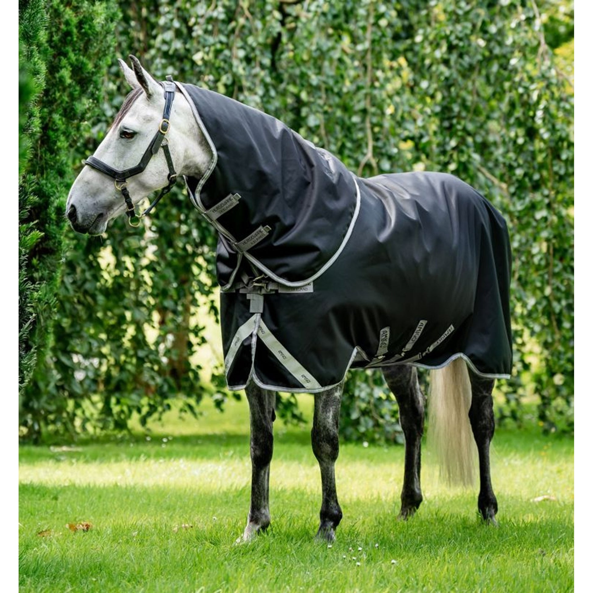 Amigo 1200D Plus Turnout 100g