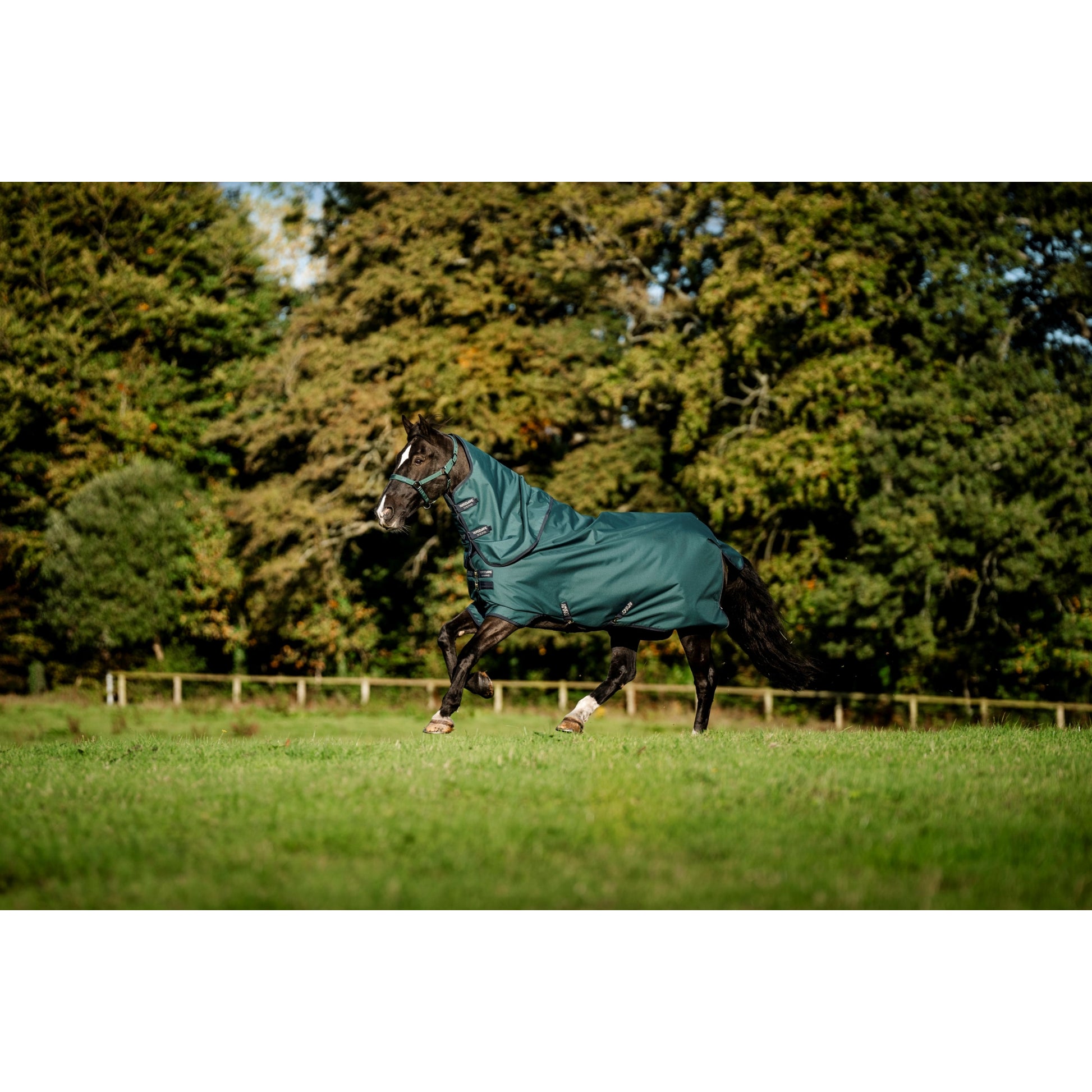 Amigo Ripstop 900D Plus Pony TO 200g