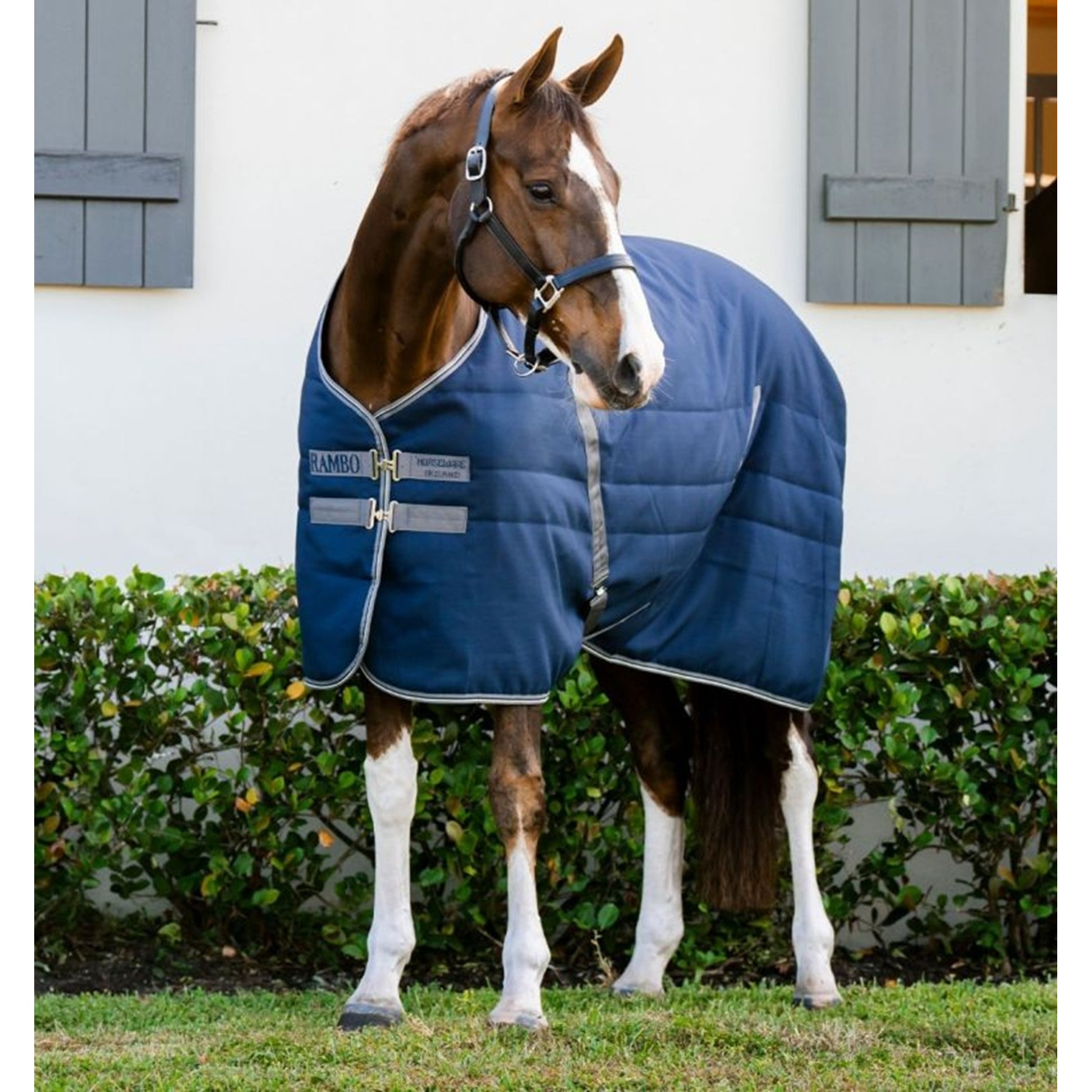 Rambo Stable 400g Embossed Lining