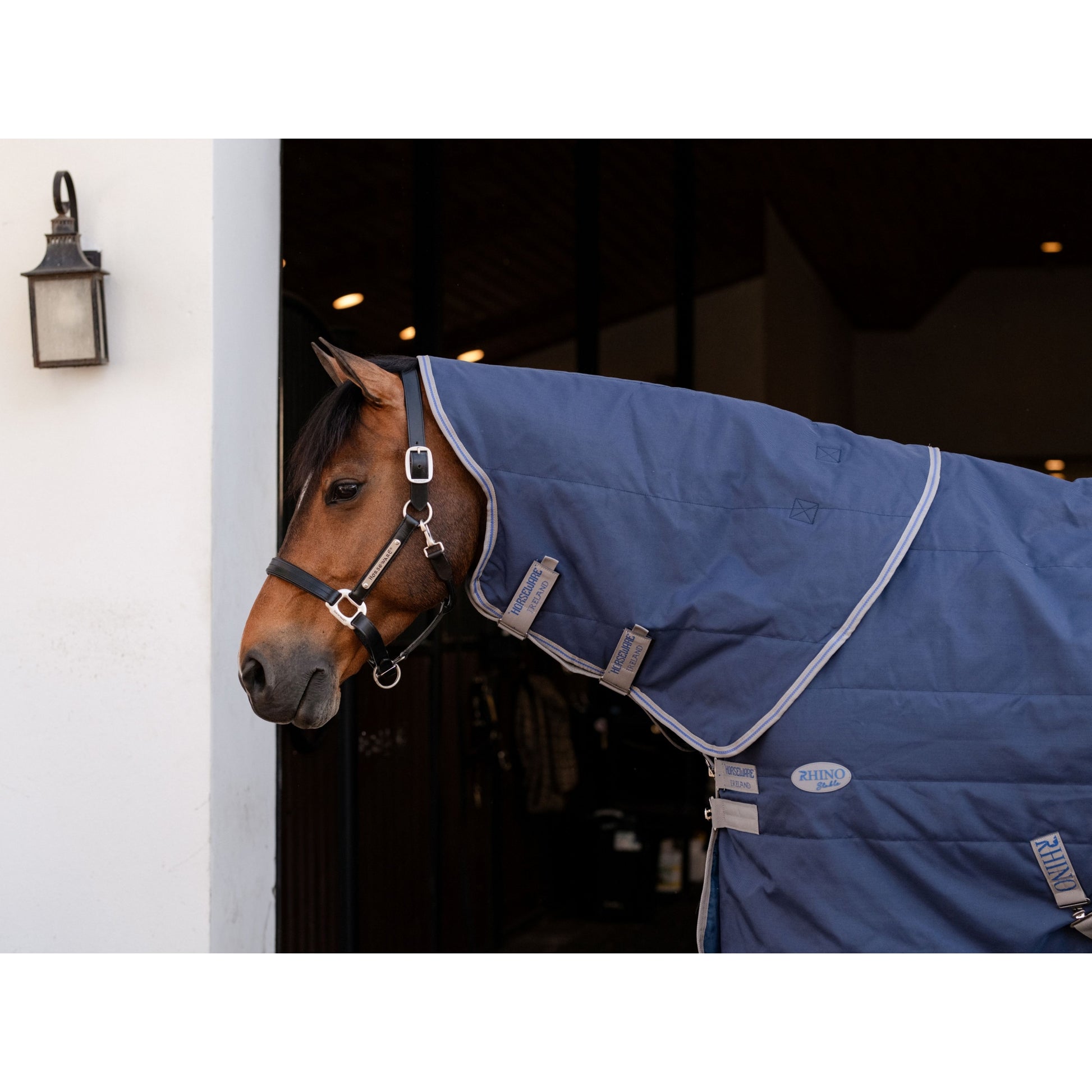 Rhino Stable Hood 100g