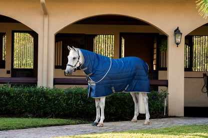 Amigo RS Insulator Plus Stable 350g