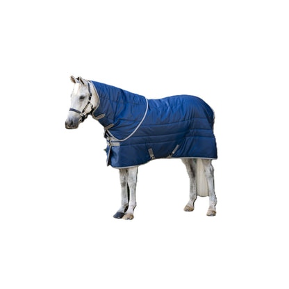Amigo RS Insulator Plus Stable 350g