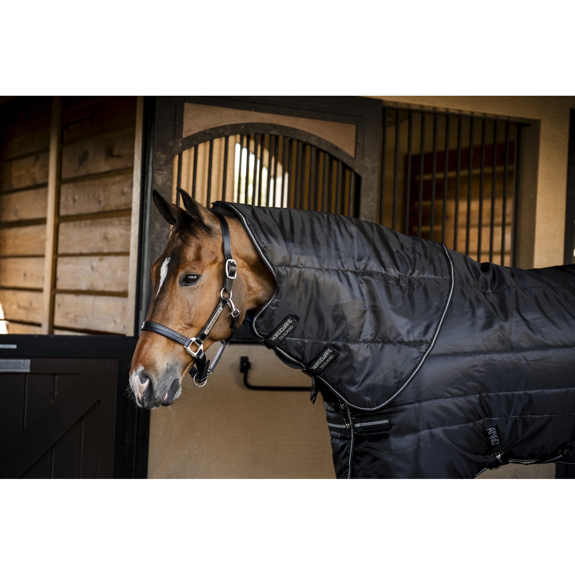Amigo RS Insulator Plus Stable 350g