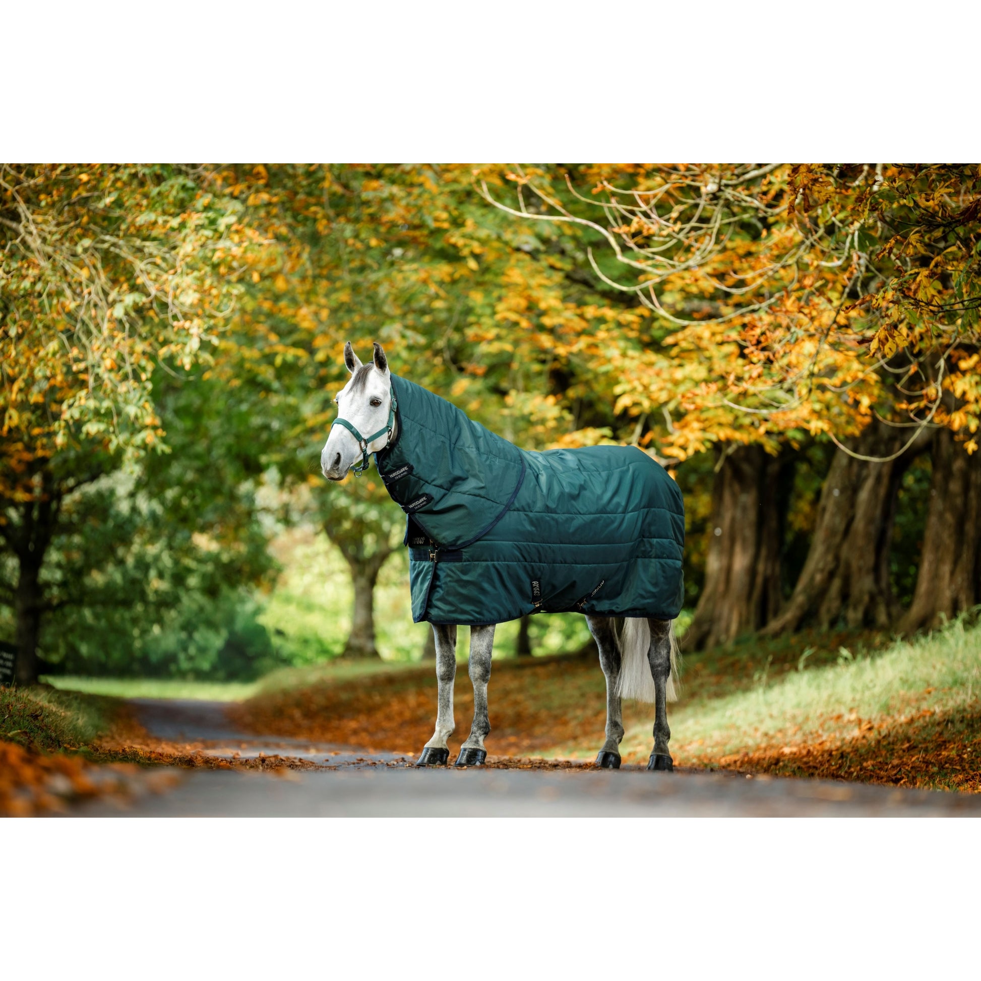 Amigo RS Insulator Stable Hood 100g