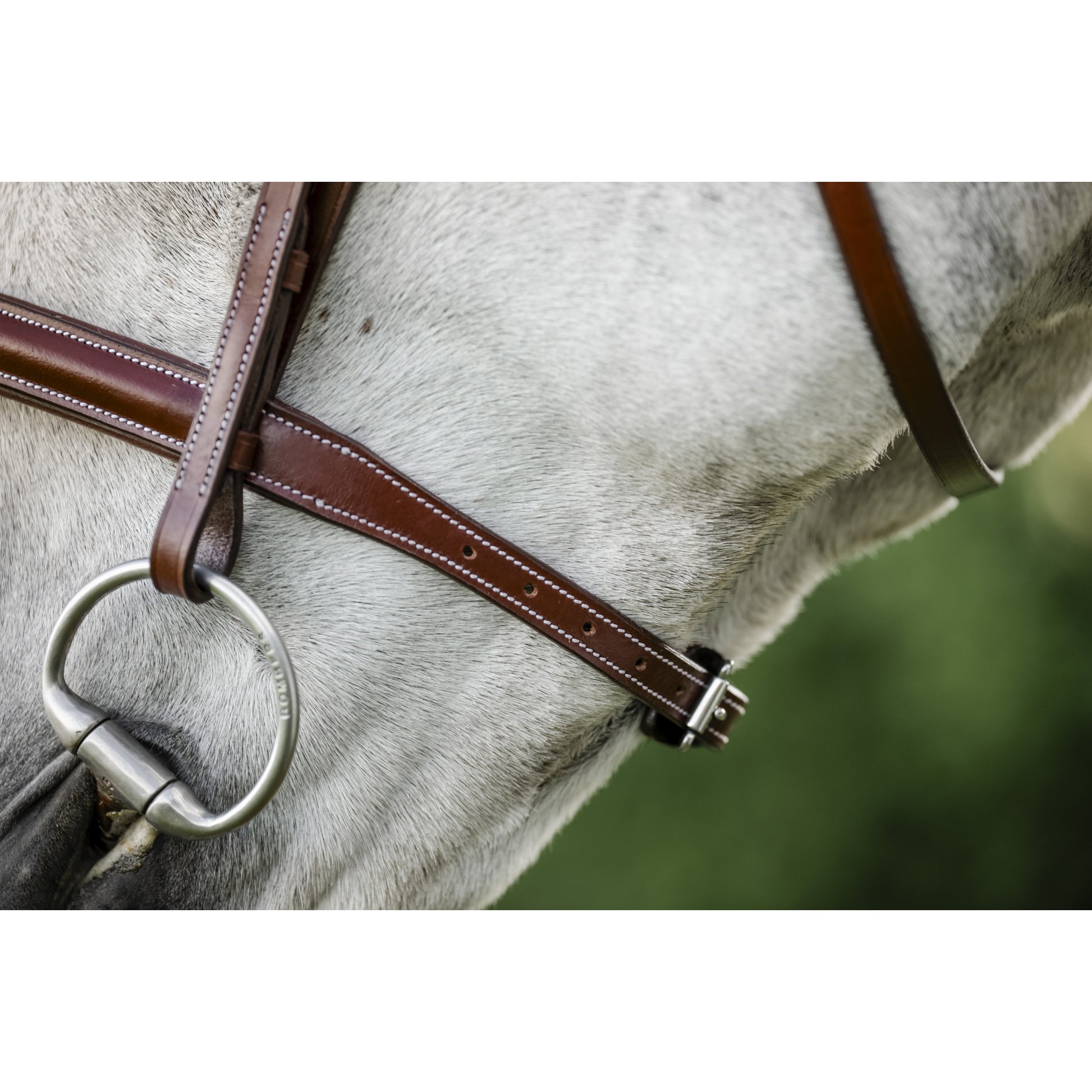 Horseware Hunter Cavesson Bridle