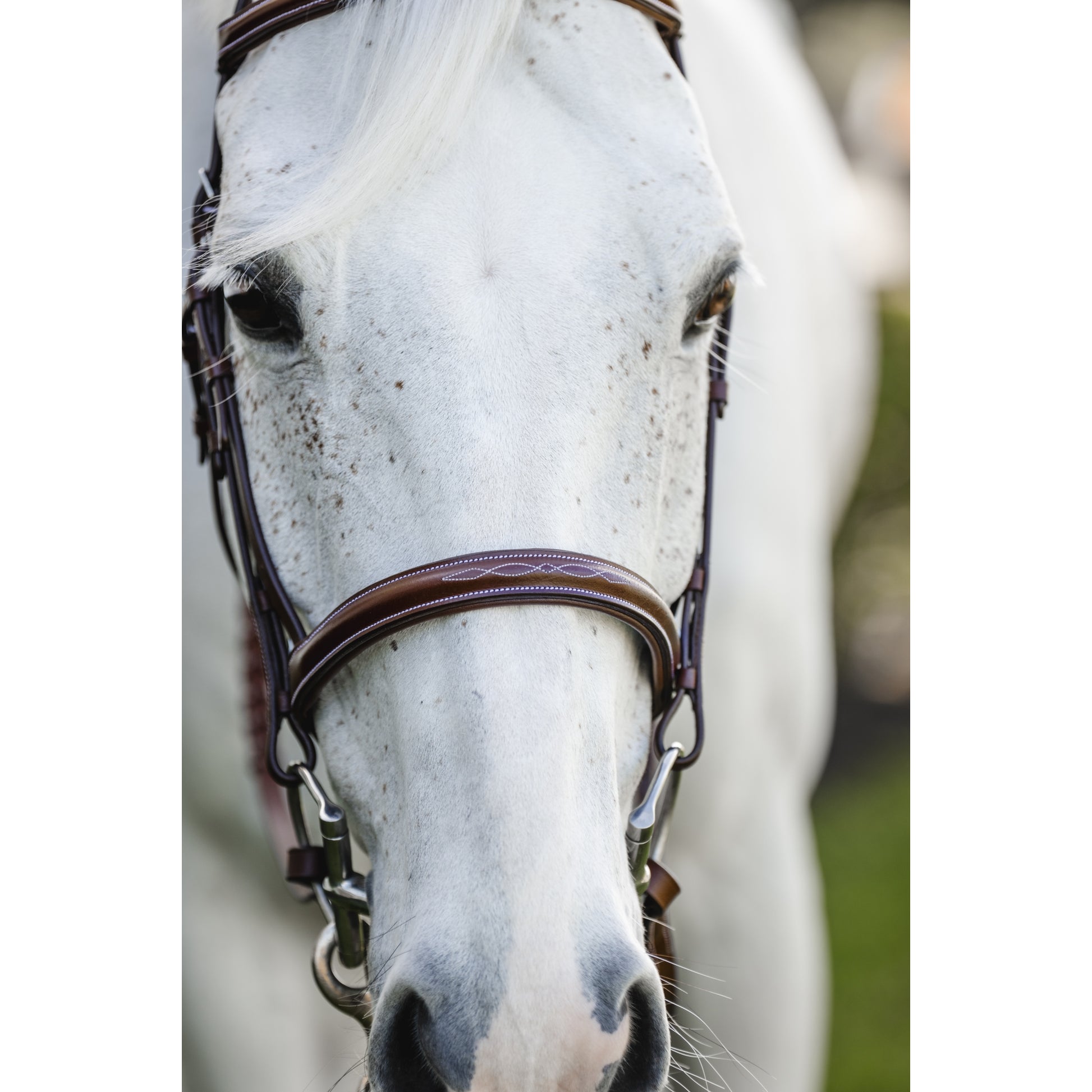 Horseware Pony Hunter Cavesson Bridle with Reins