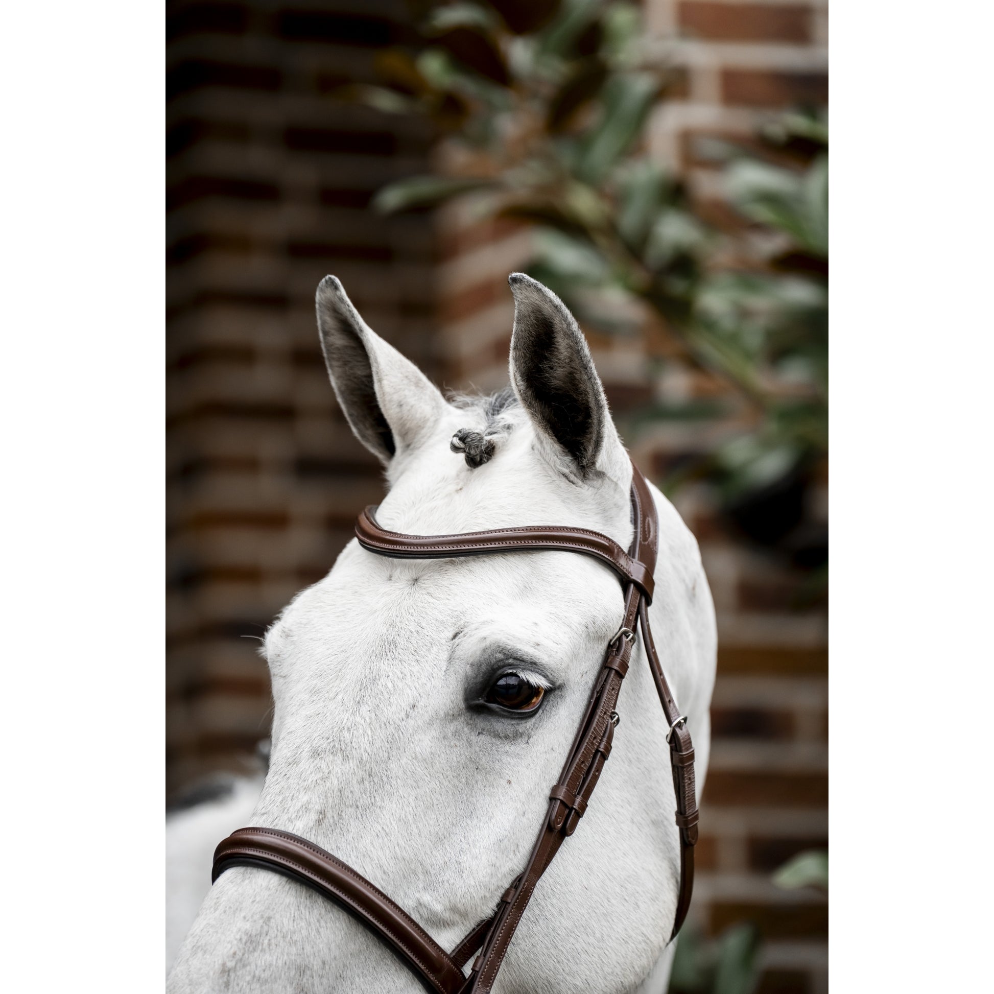 Horseware Cavesson Bridle