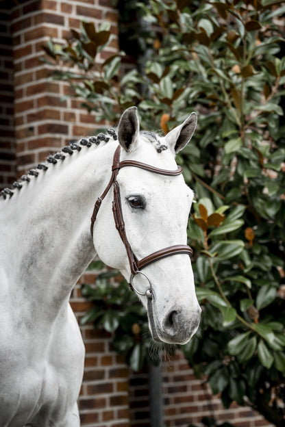 Horseware Cavesson Bridle