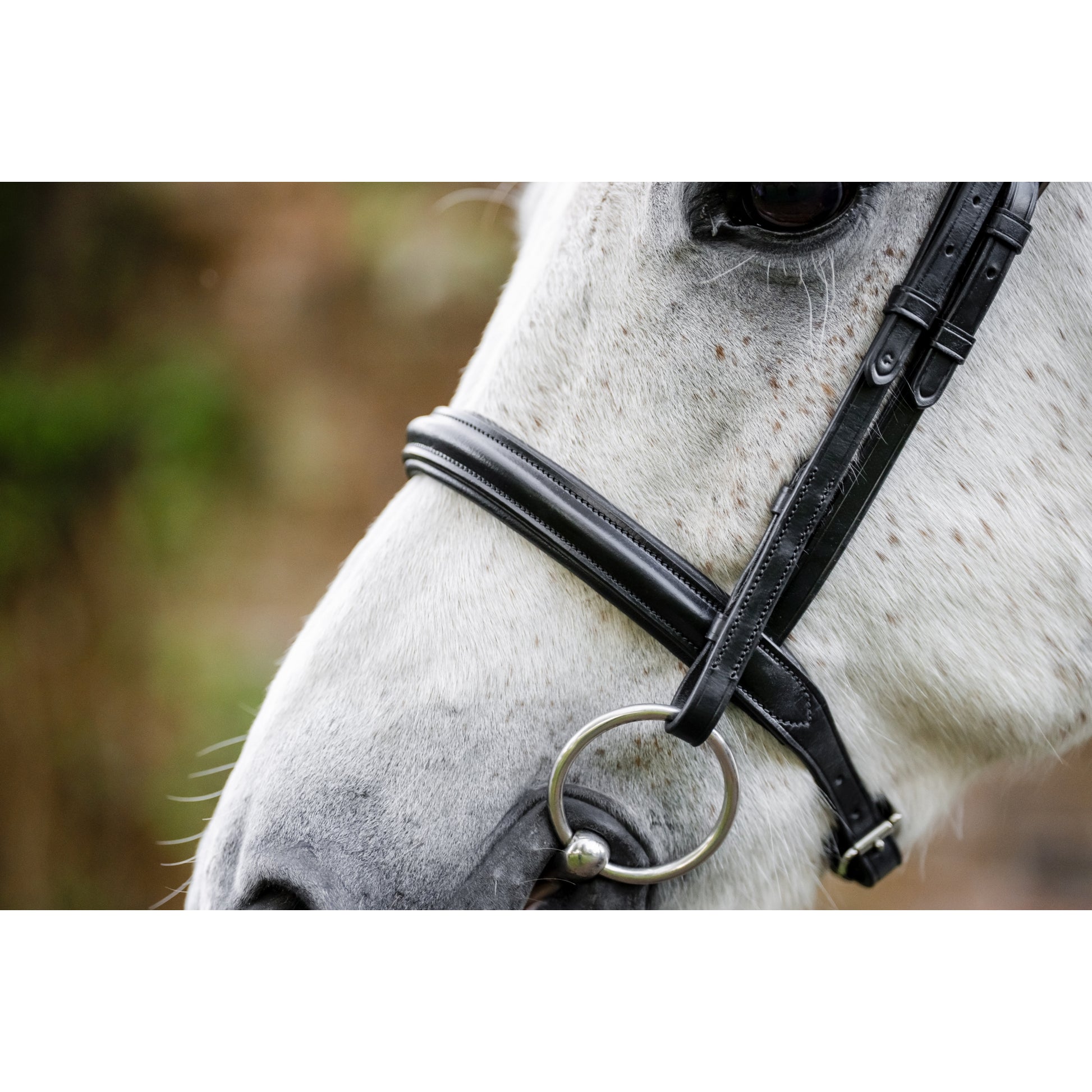 Horseware Pony Cavesson Bridle