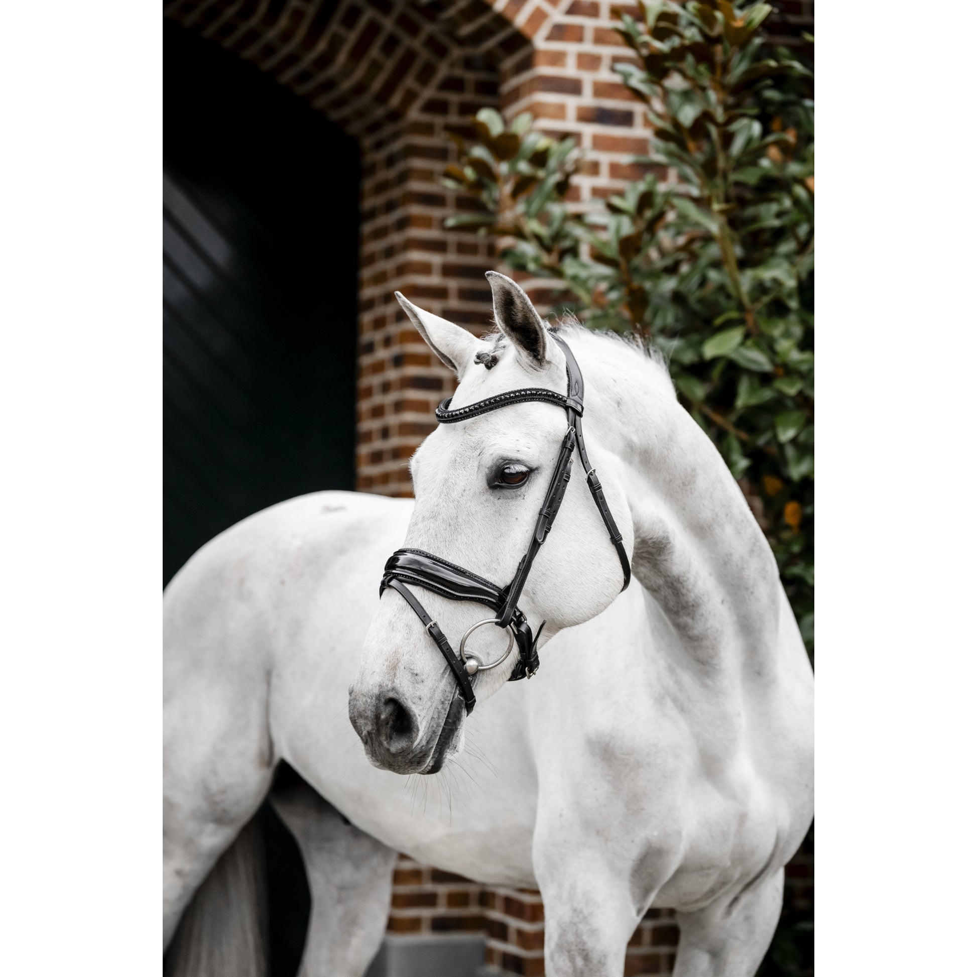 Horseware Diamante Flash Bridle