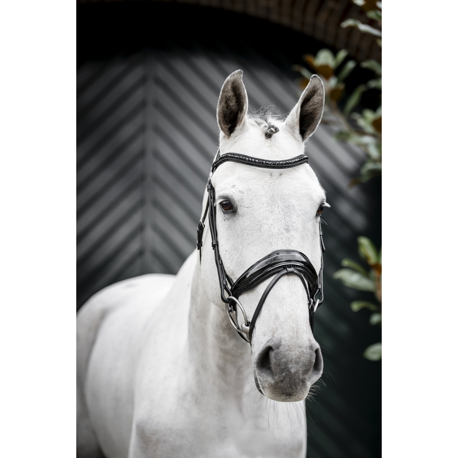Horseware Diamante Flash Bridle
