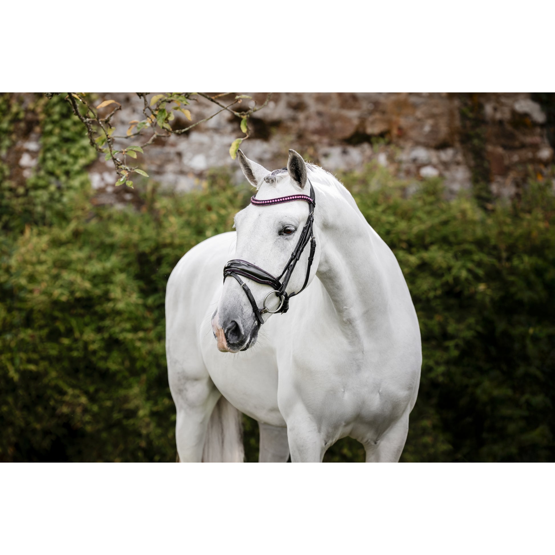 Horseware Diamante Flash Bridle