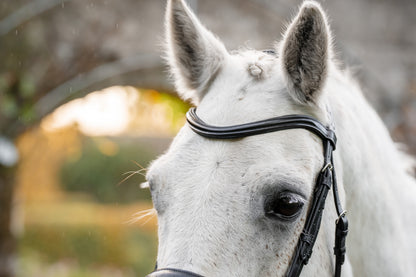 Horseware Pony Flash Bridle