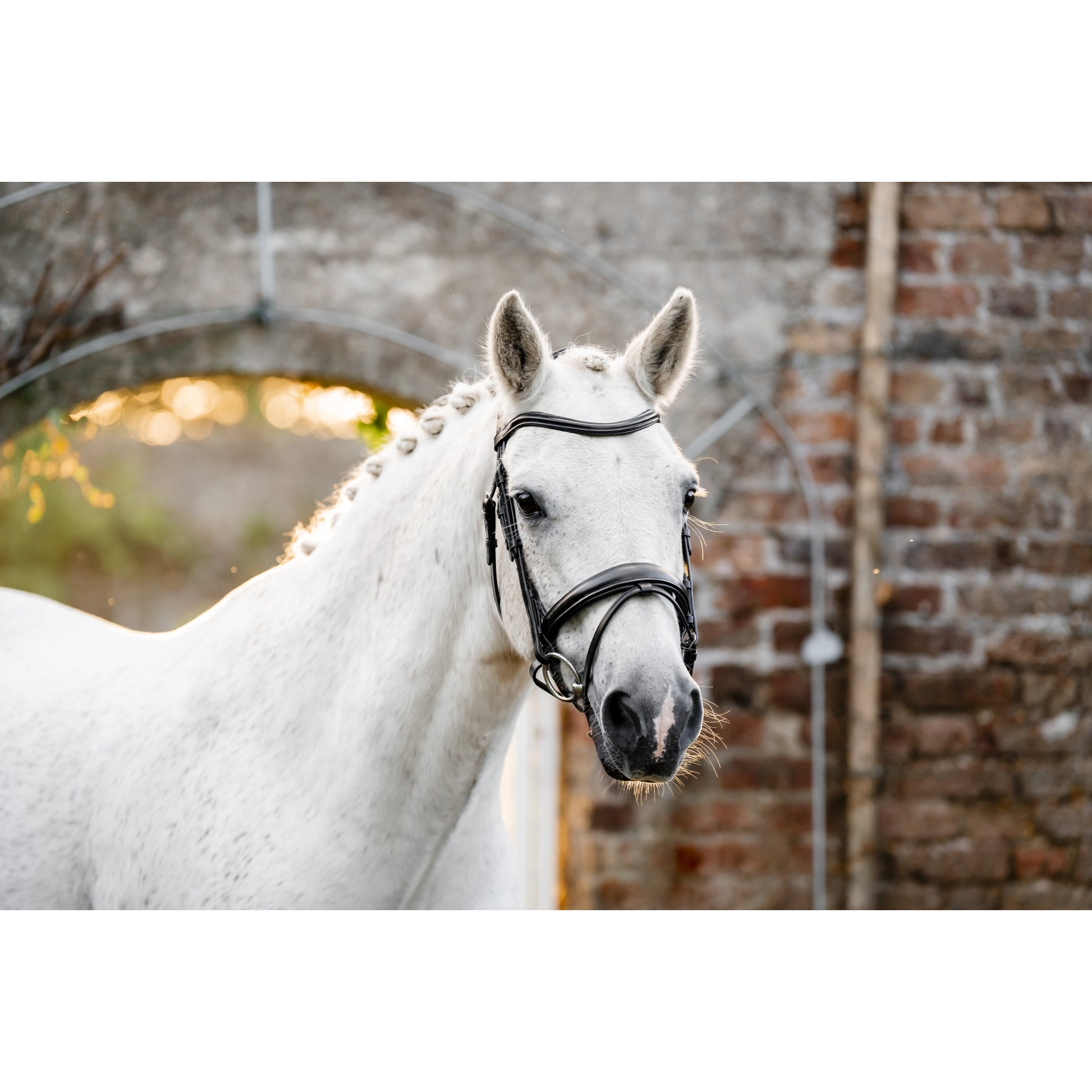 Horseware Pony Flash Bridle