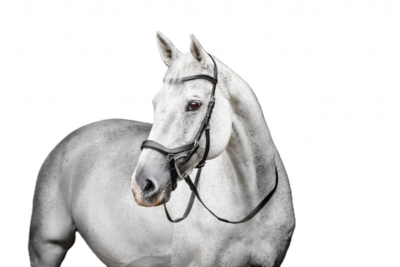 Horseware Micklem Deluxe Competition