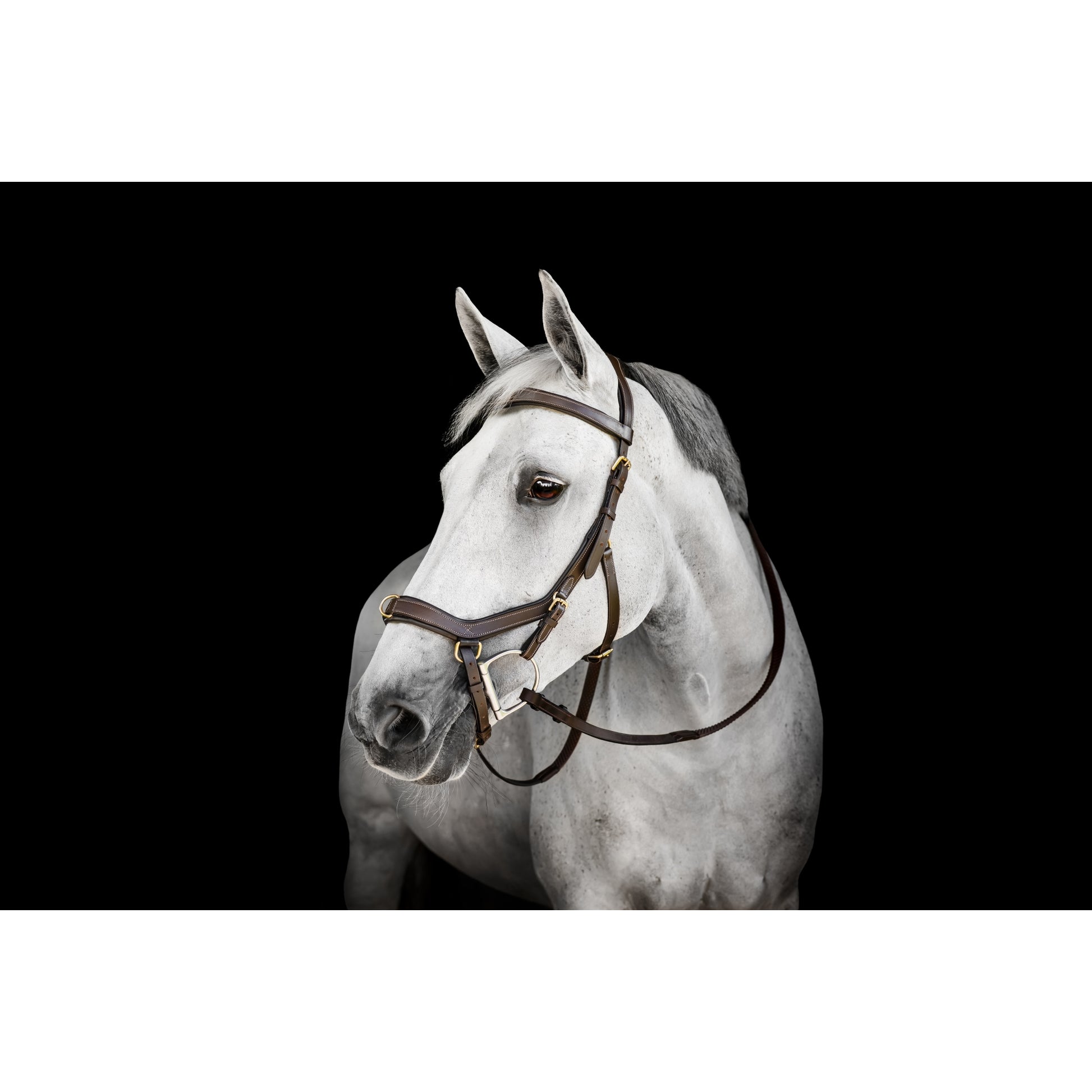 Horseware Micklem Multi Bridle