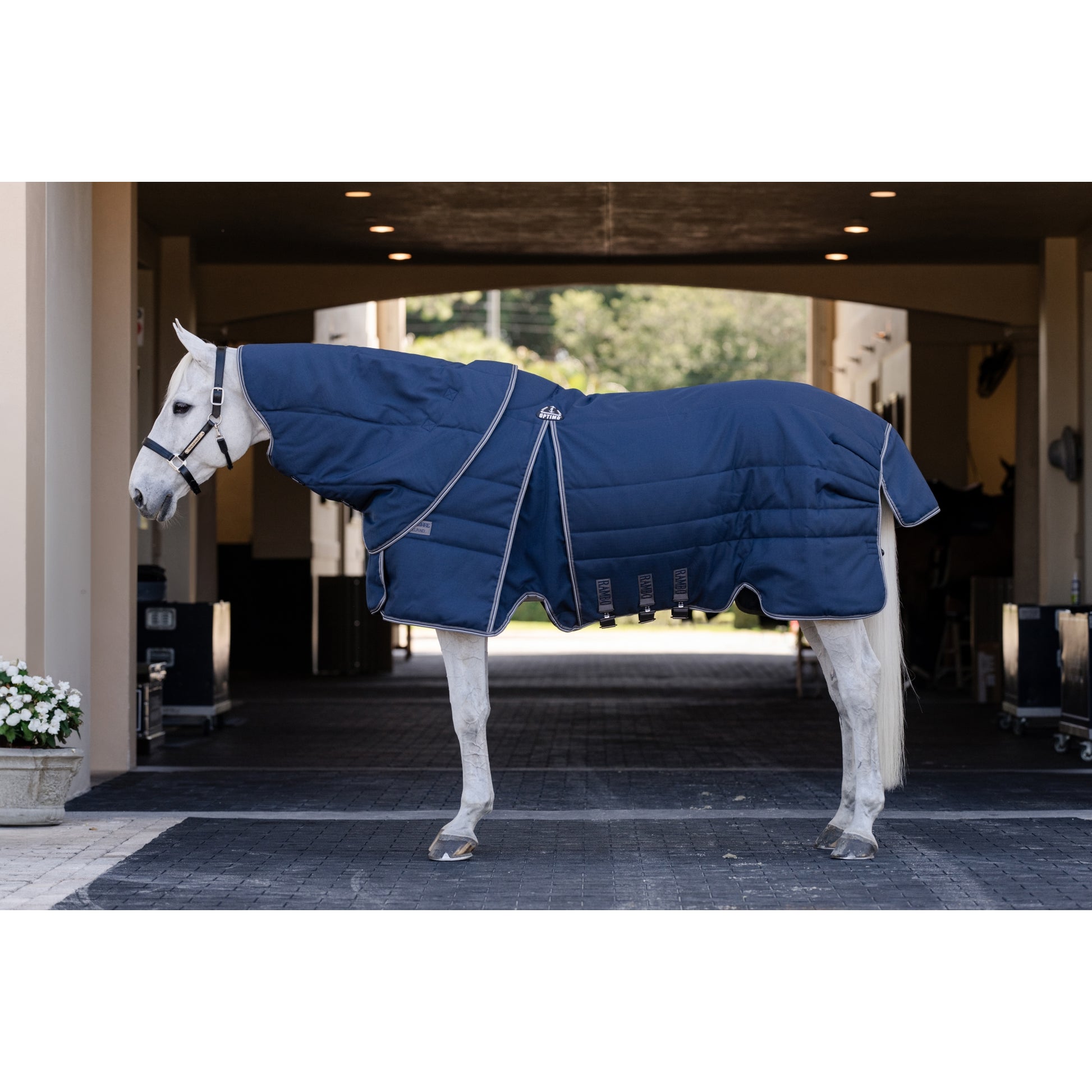 Rambo Optimo Stable Plus 200g