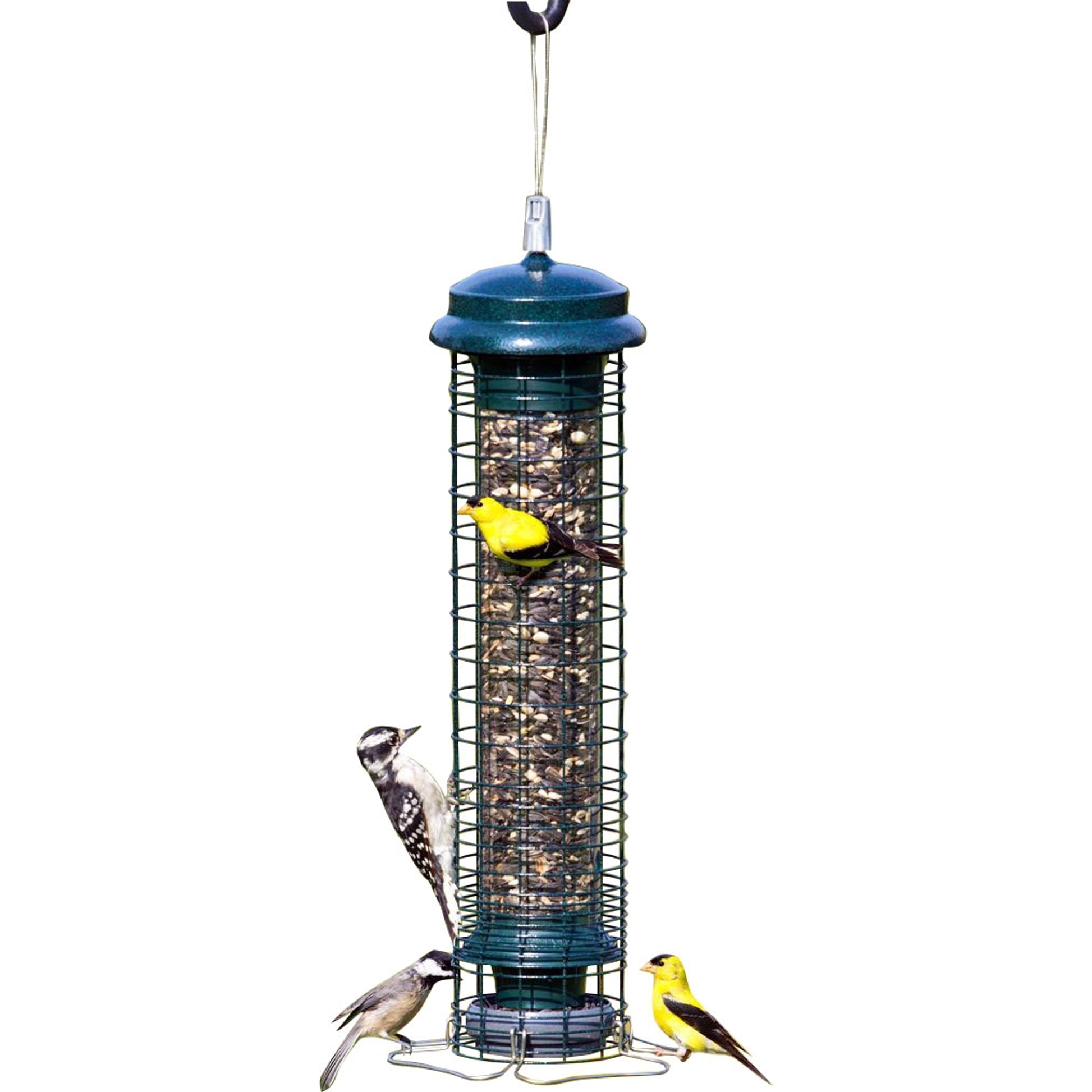 Brome Squirrel Solution 150 Wild Bird Feeder