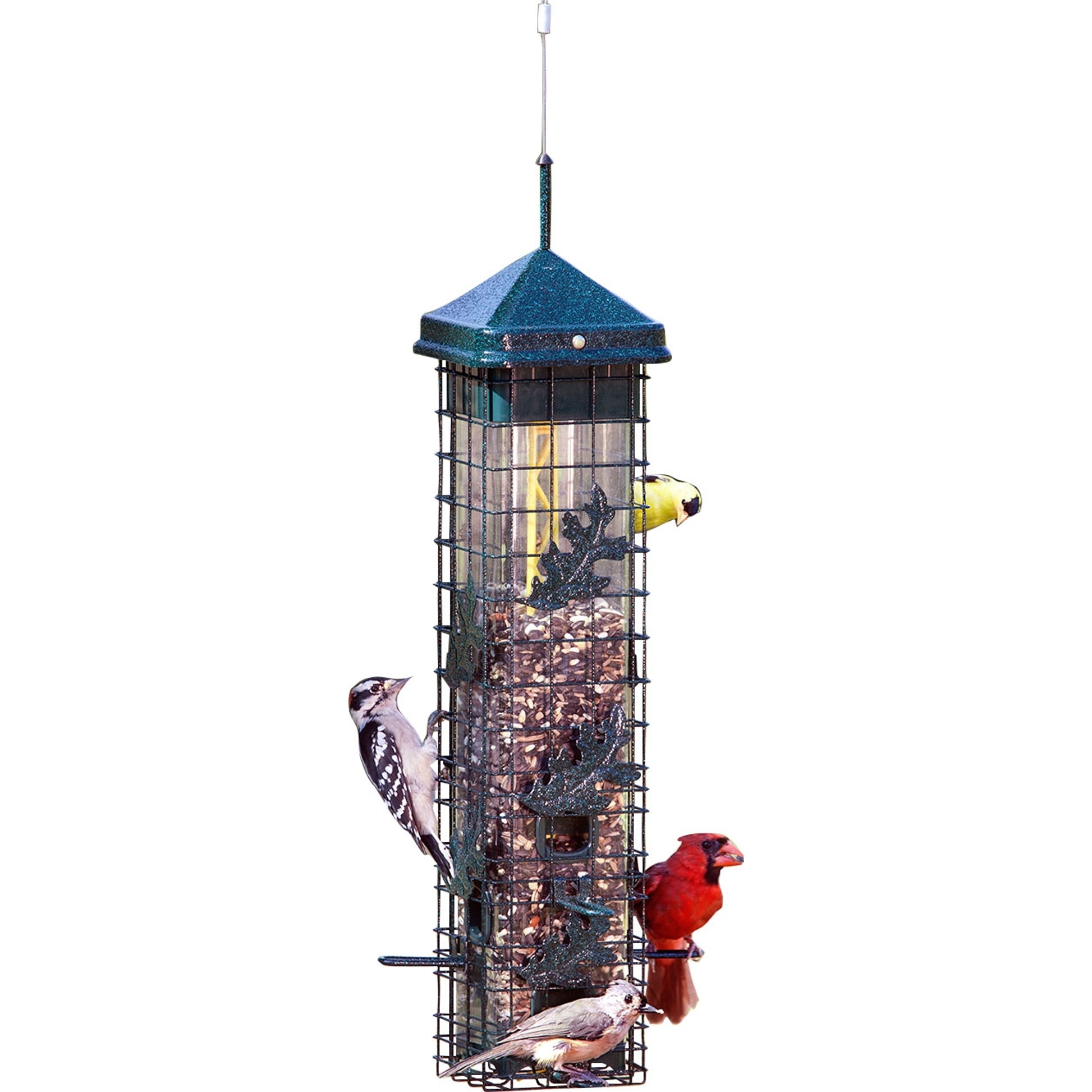Brome Squirrel Solution 200 Wild Bird Feeder