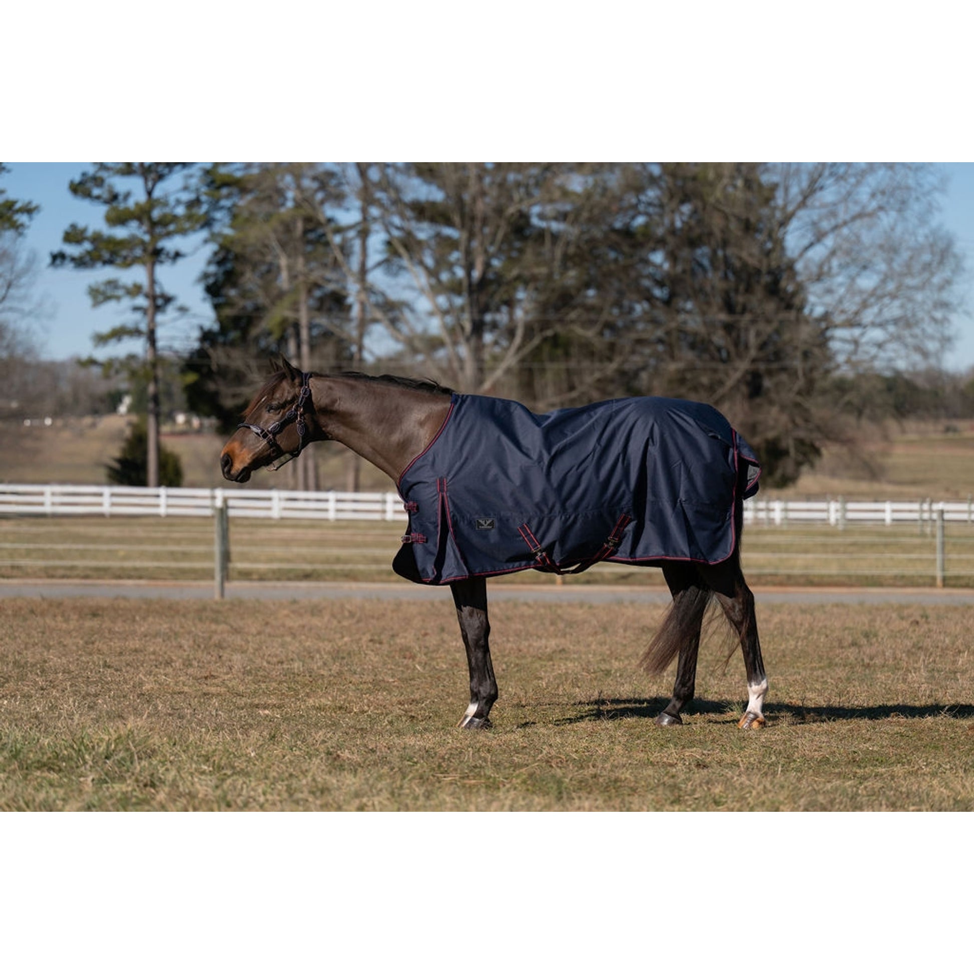 TuffRider Ripstop Standard Neck LightWeight Turnout Blanket with 100 GSM Fill