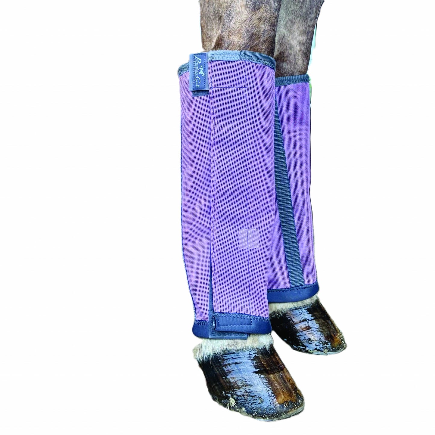 4-492732-2.jpg