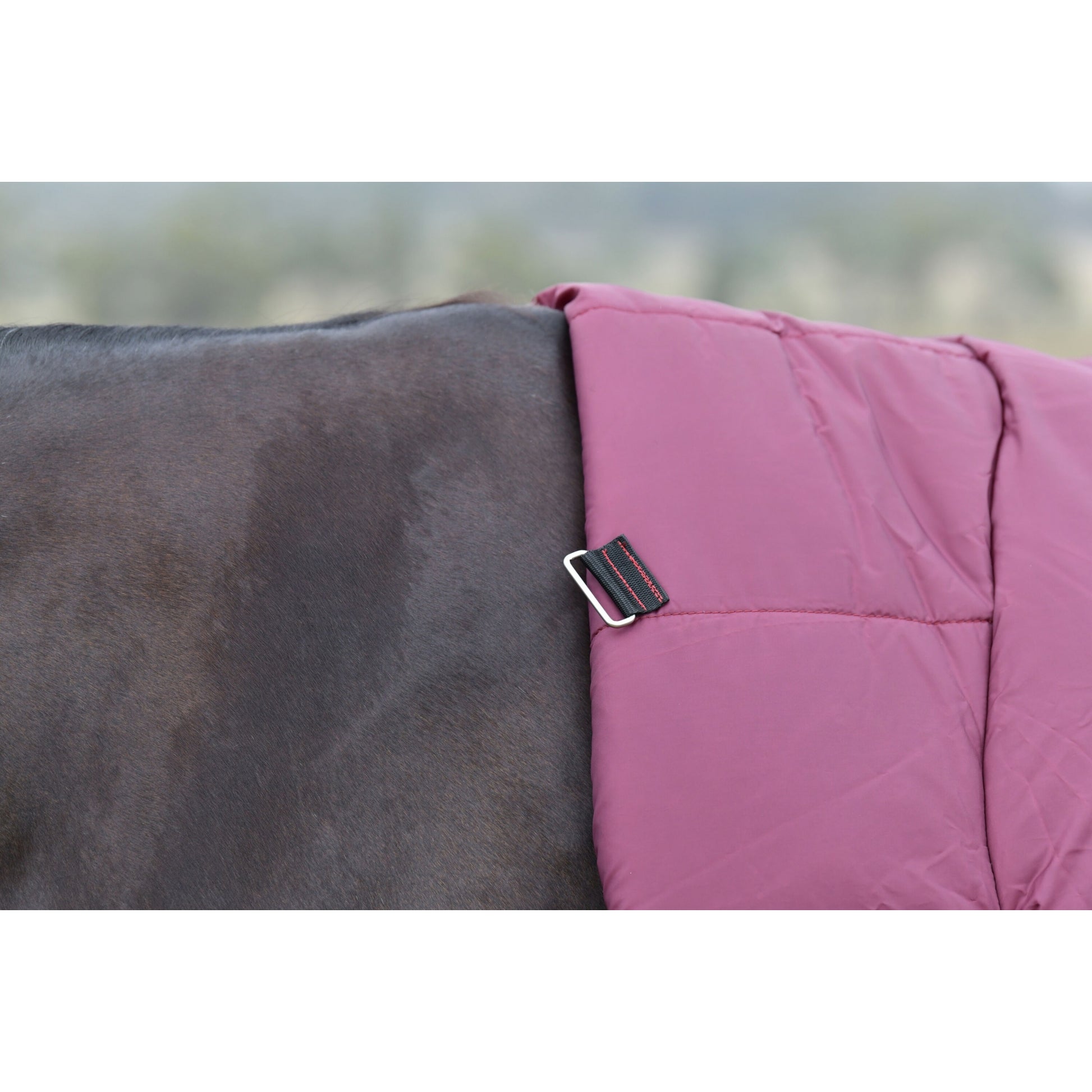 Weatherbeeta ComFiTec Essential Turnout Combo 50g