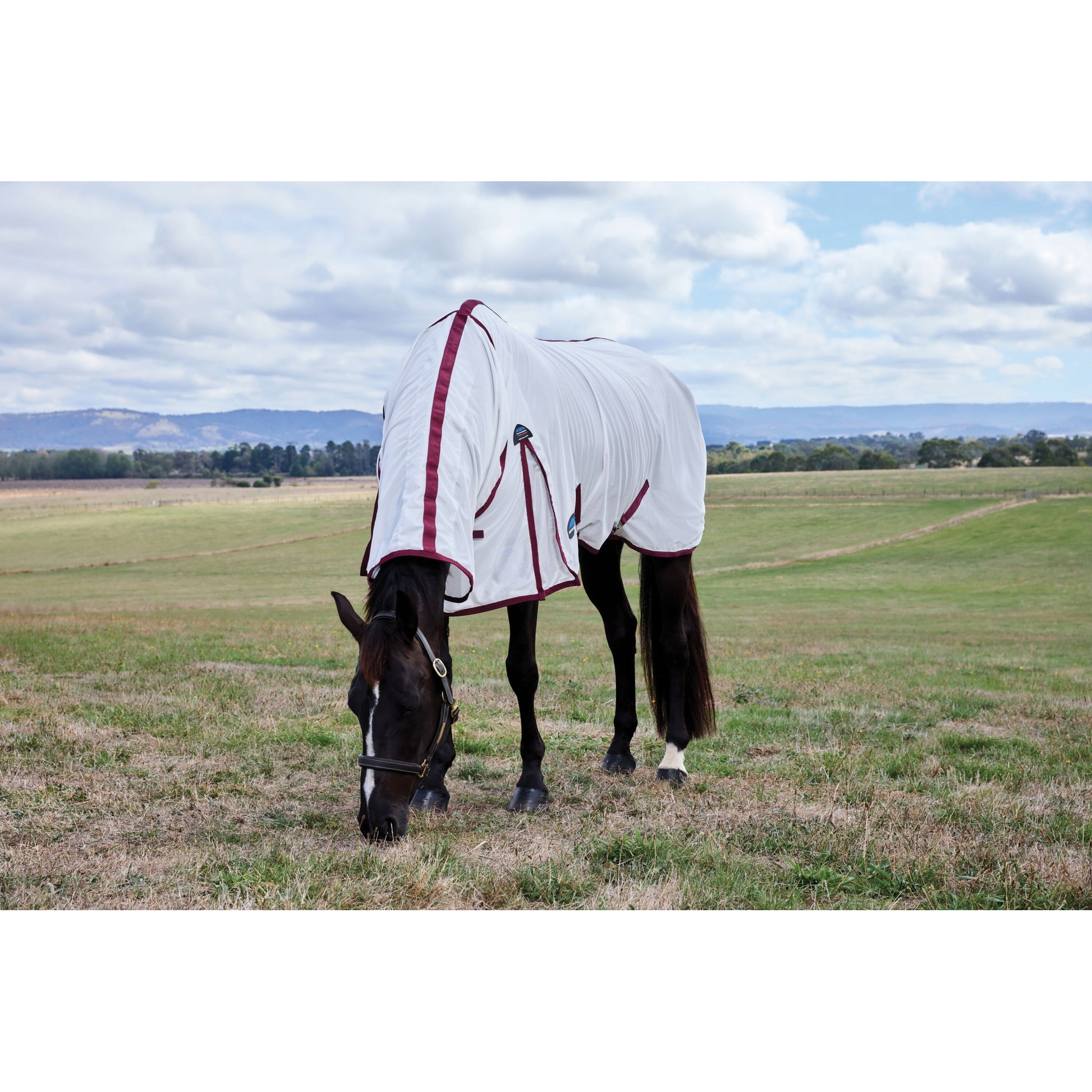 WeatherBeeta ComFiTec Essential Combo Neck Fly Sheet