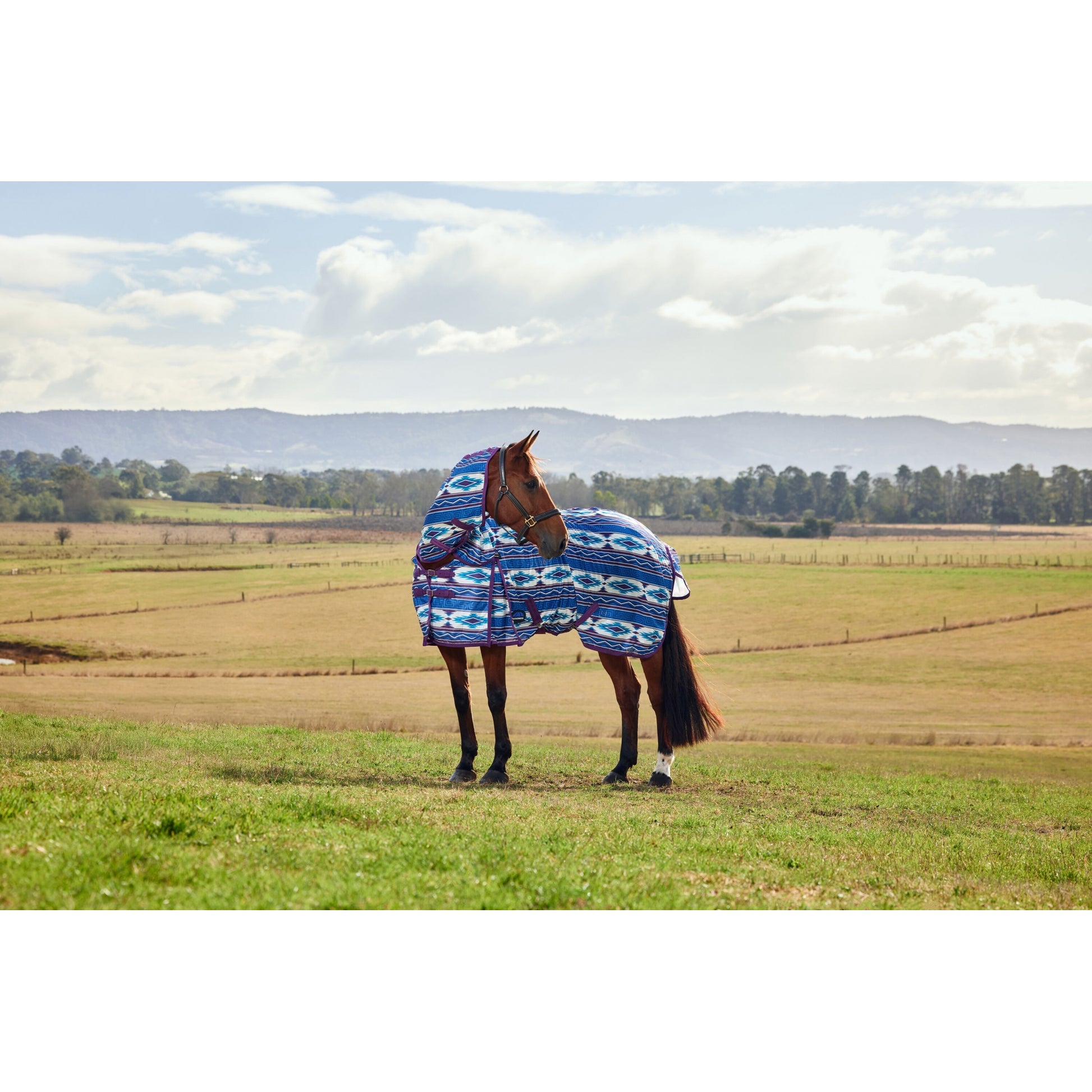 WeatherBeeta ComFiTec Essential Combo Neck Fly Sheet