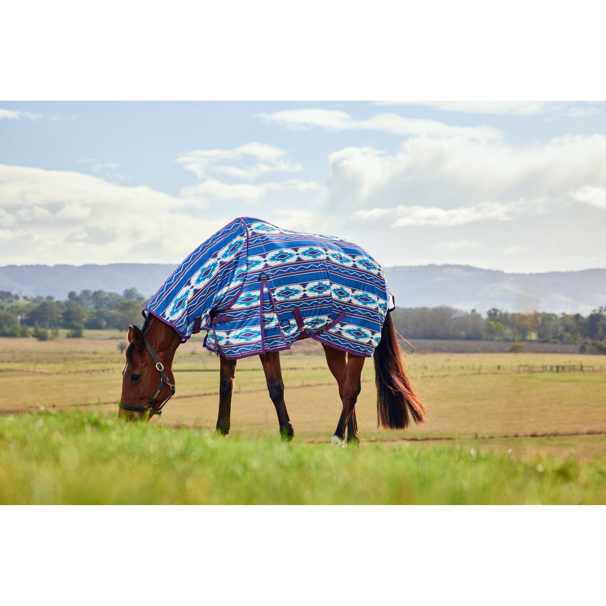 WeatherBeeta ComFiTec Essential Combo Neck Fly Sheet