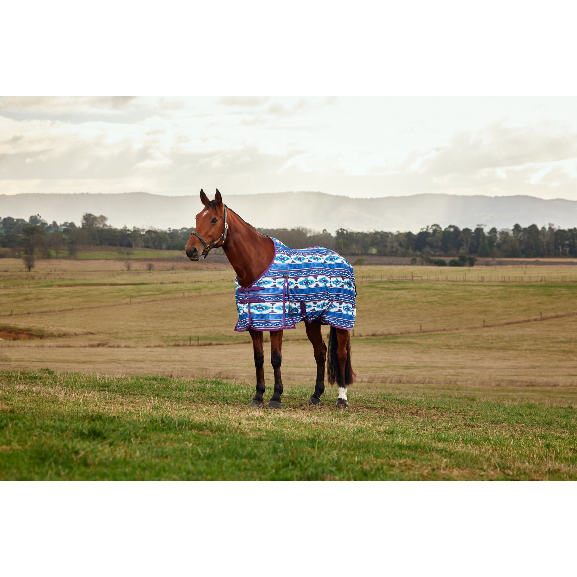 Weatherbeeta ComFiTec Essential Fly Sheet
