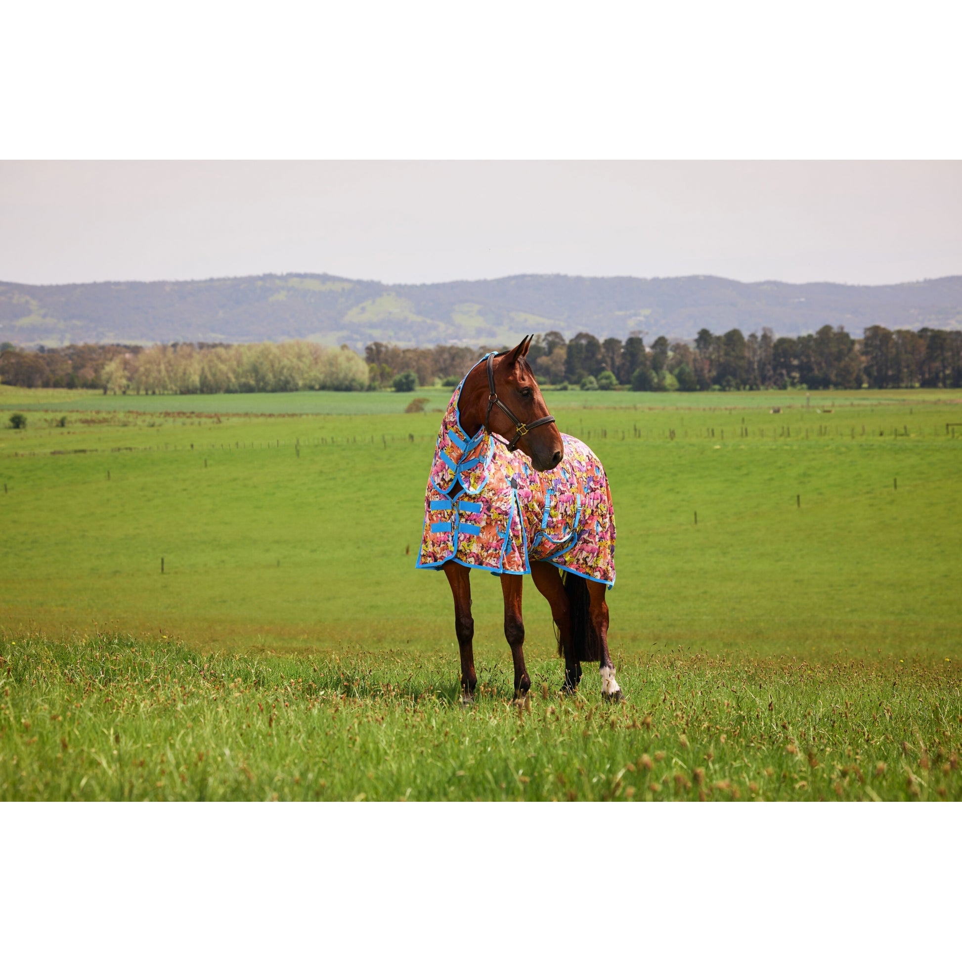 Saxon Mesh Combo Neck Fly Sheet