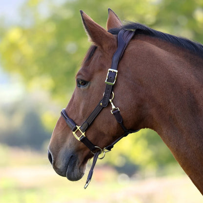 Shires Velociti LUSSO Soria Control Leather Headcollar