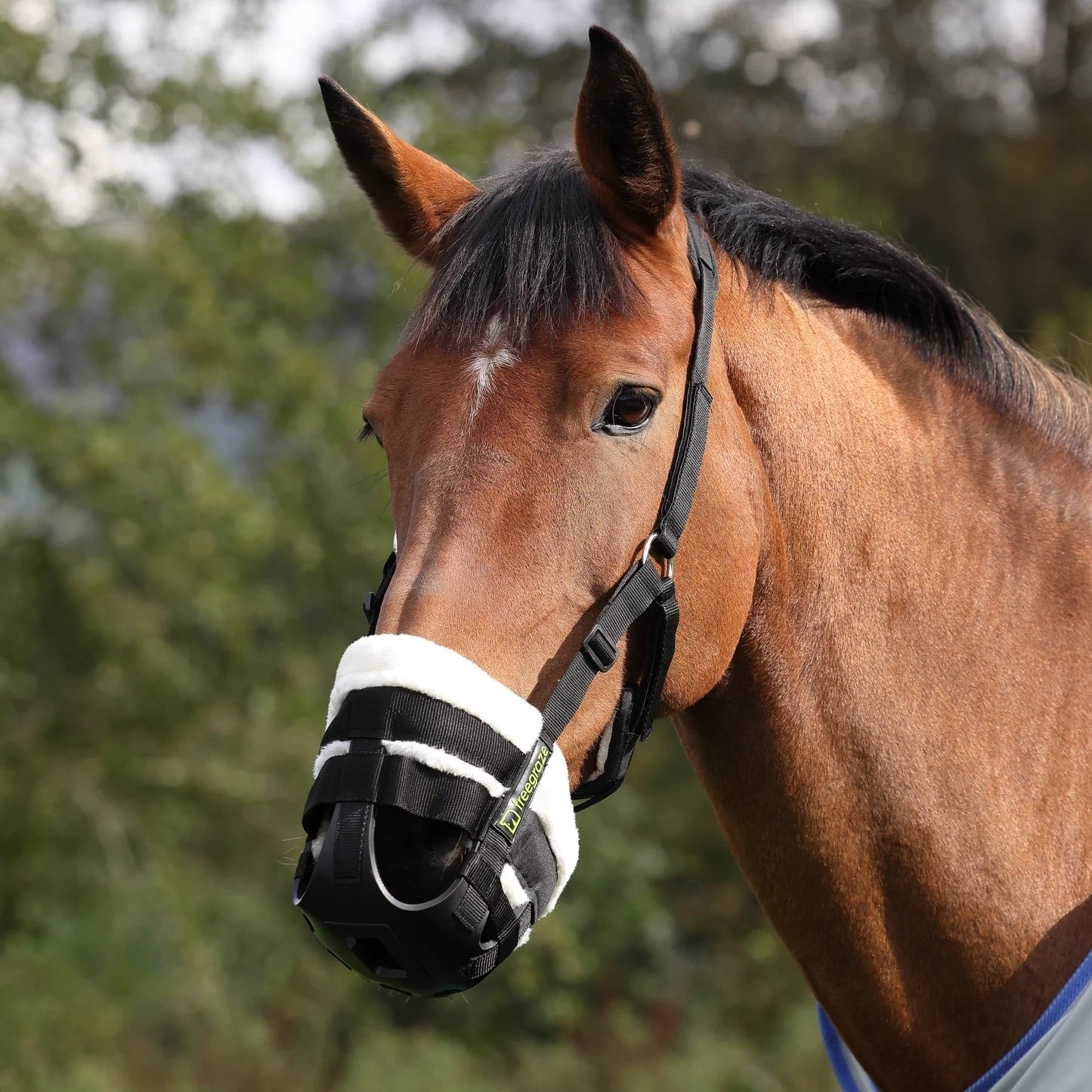 4-496850-1.jpg