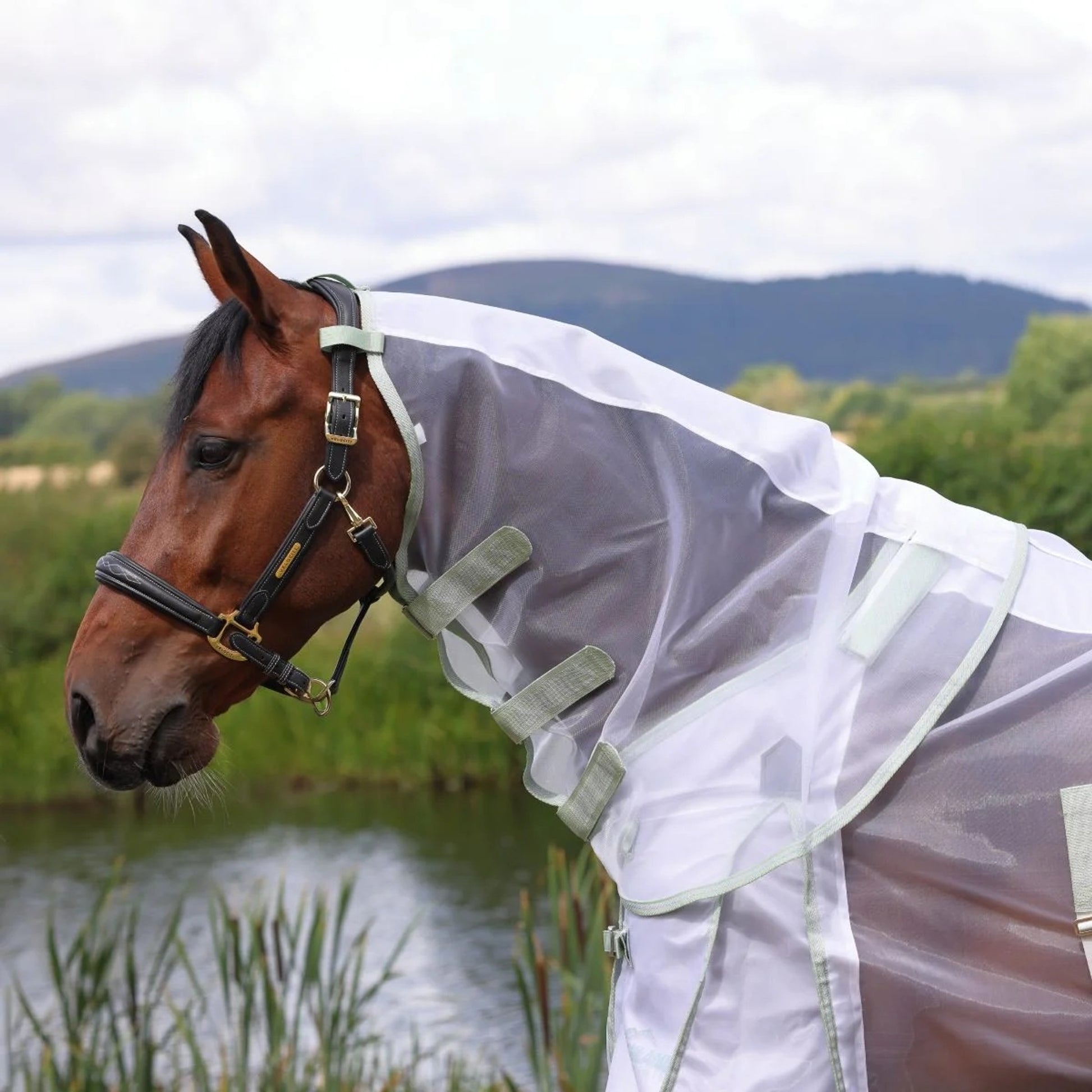 Shires Highlander Fine Mesh Fly Sheet Set