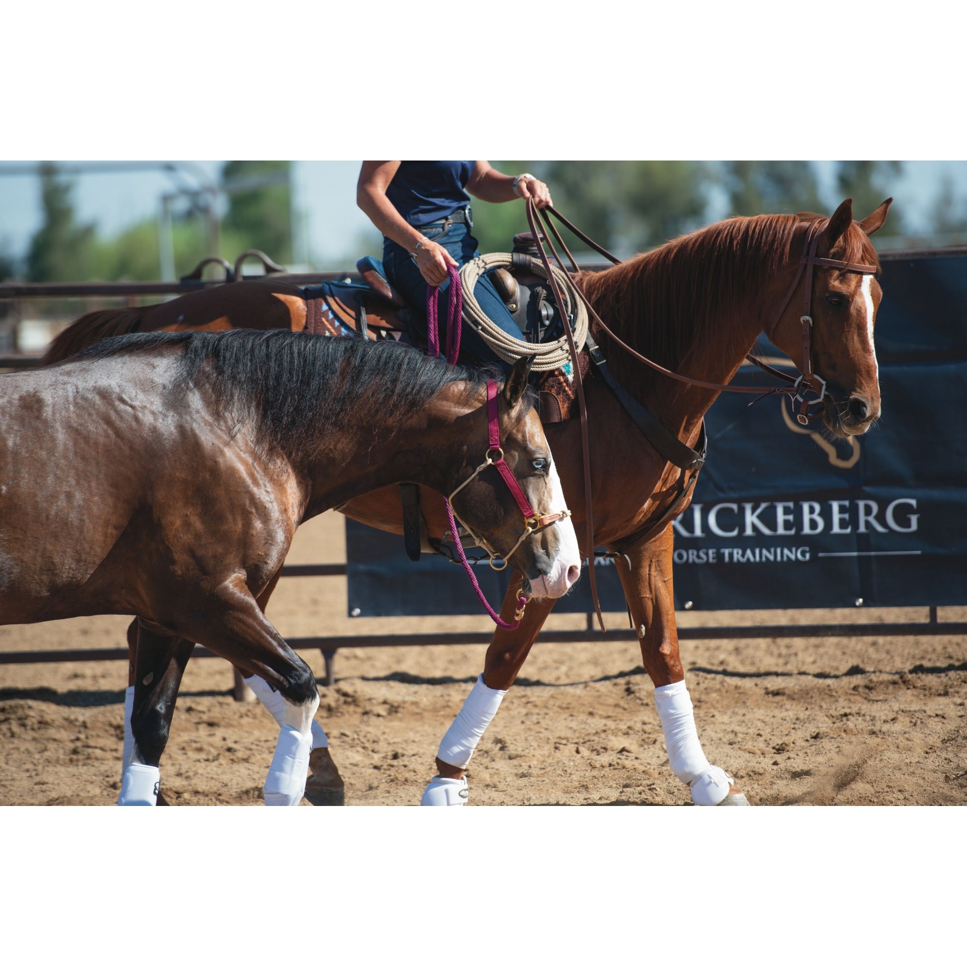 Weaver Kalley Krickeberg Nylon & Rope Combination Horsemans Halter