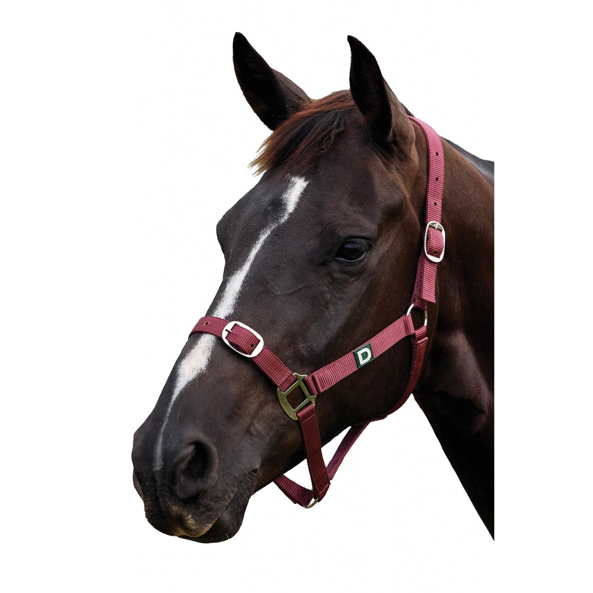 Dublin Everyday Breakaway Halter