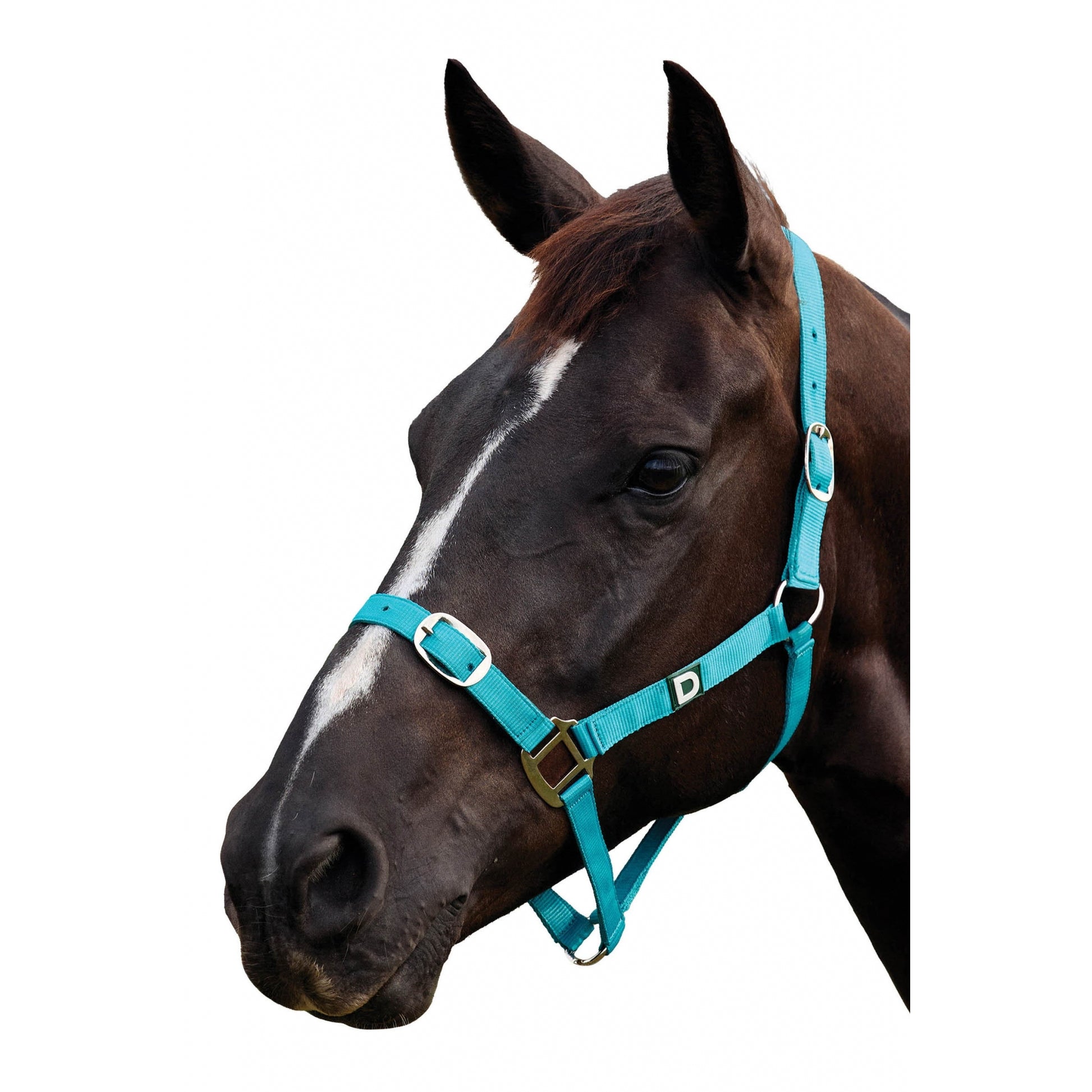 Dublin Everyday Breakaway Halter