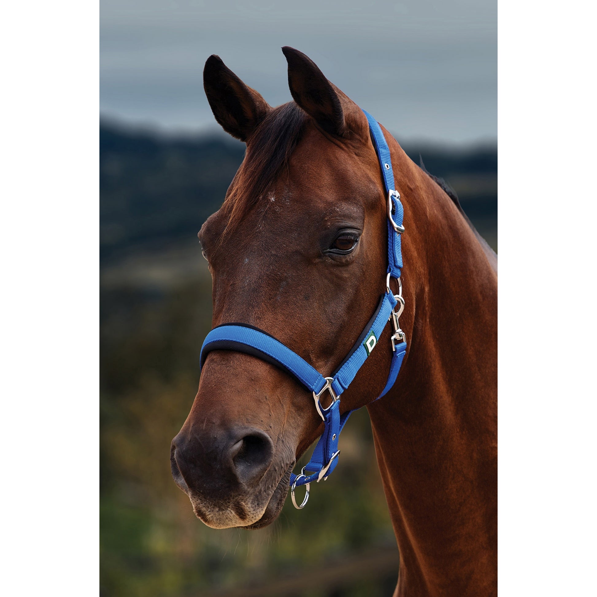 Dublin Neo Comfort Breakaway Halter