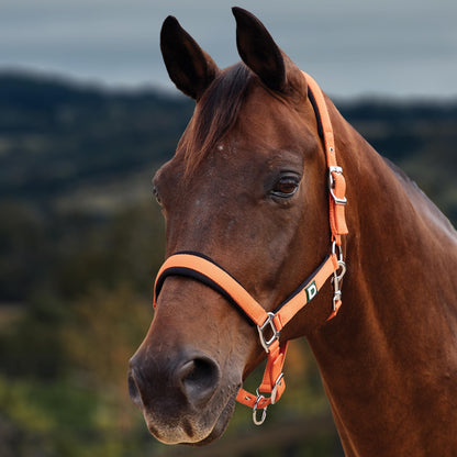 Dublin Neo Comfort Breakaway Halter
