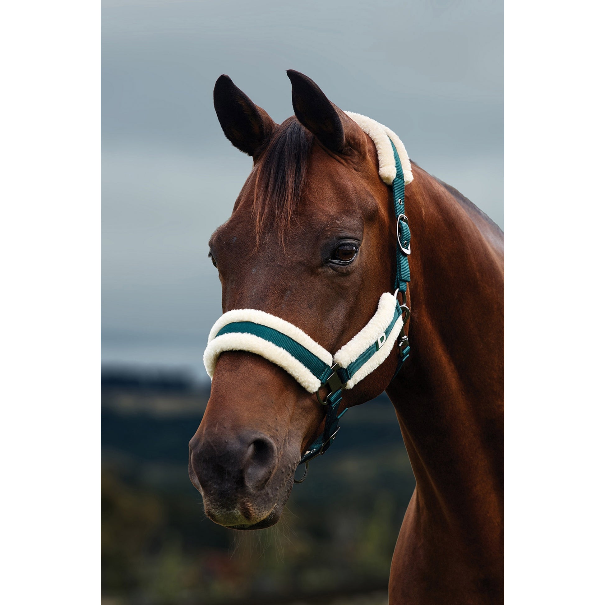 Dublin Soft Fit Breakaway Halter
