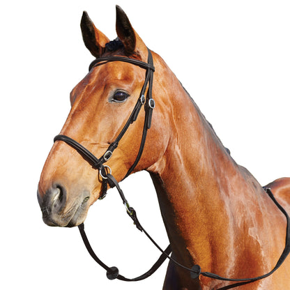 Dublin Bitless Bridle