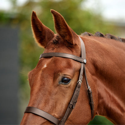 Dublin Flat Cavesson Bridle