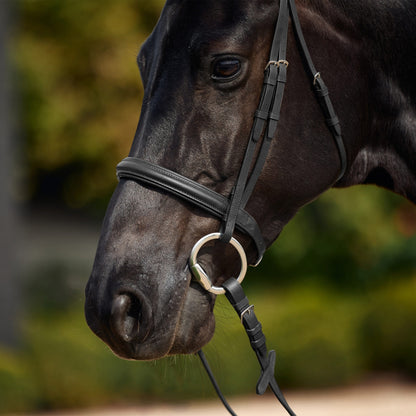 Dublin Padded Cavesson Bridle